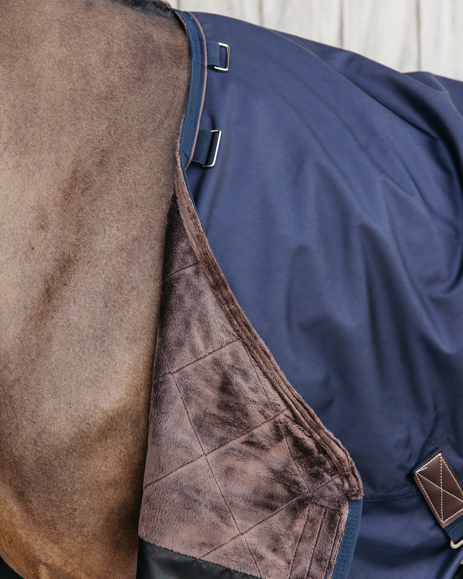 Outdoor rug All Weather waterproof Pro 300g