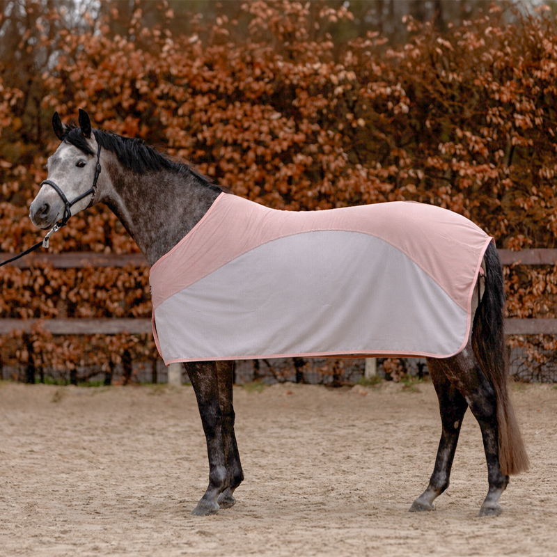 Fly rug "Aeris"