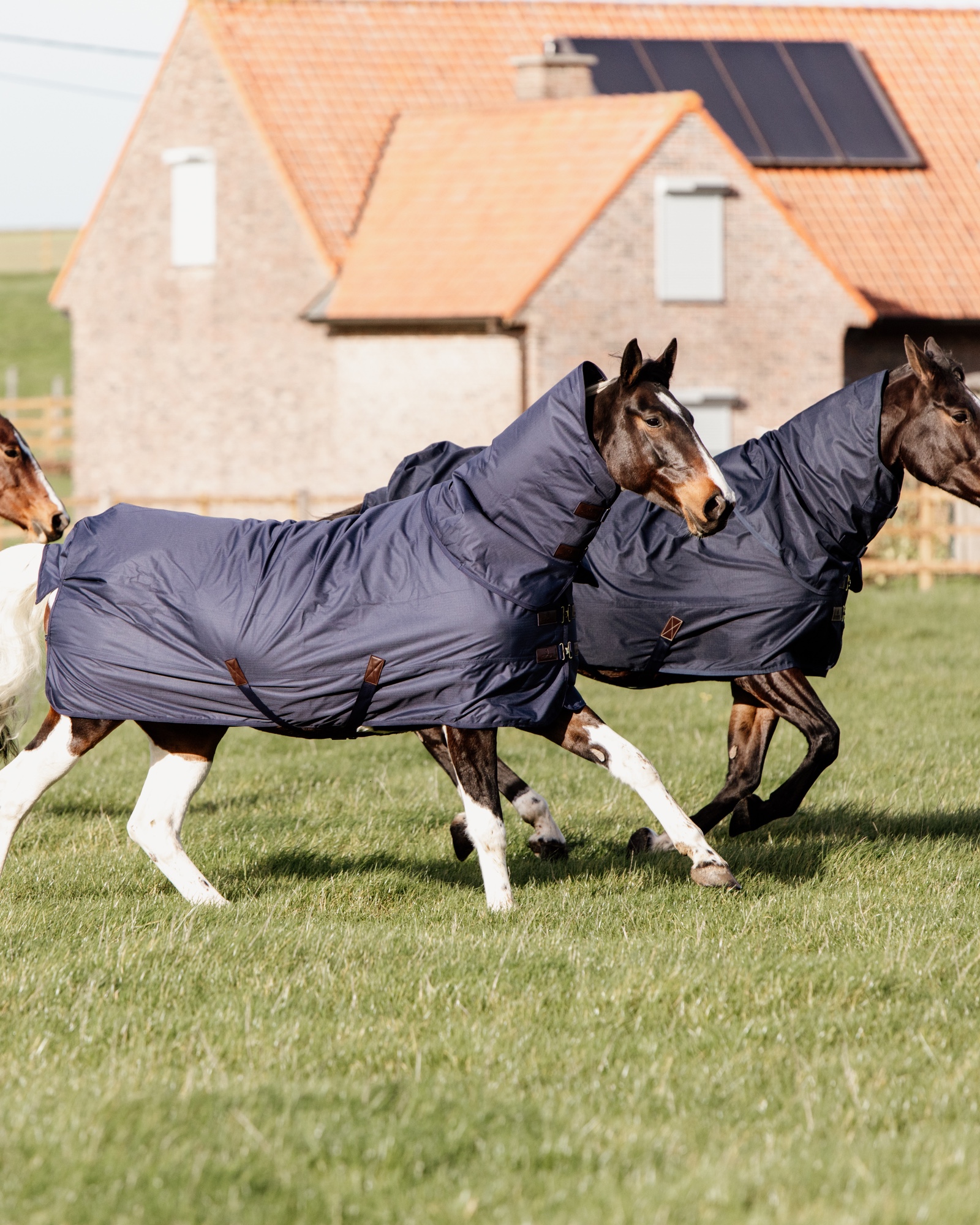 Outdoor rug All Weather Quick Dry Fleece in navy Outdoor rug All Weather Quick Dry Fleece in navy