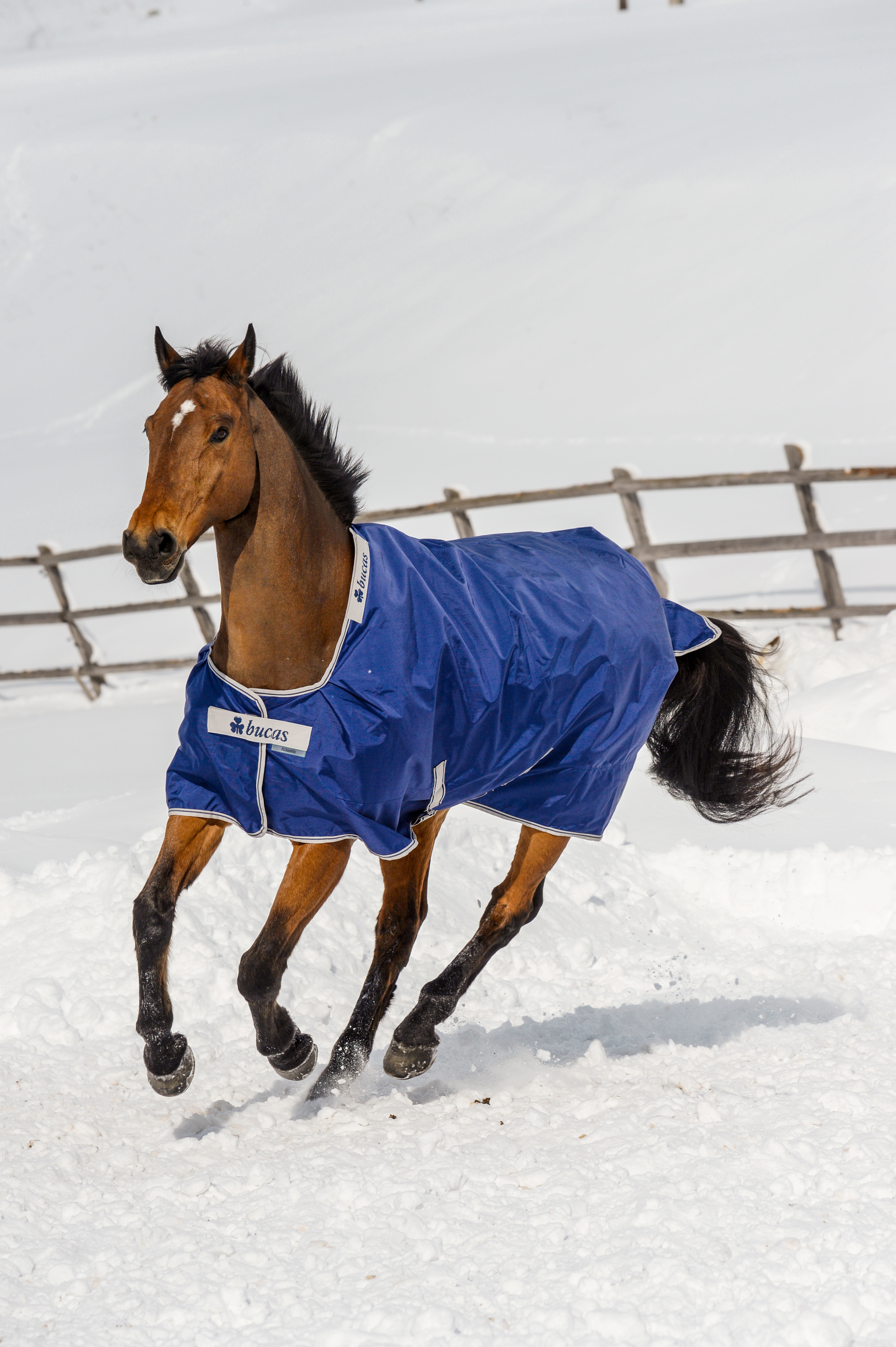 Outdoordecke Atlantic Turnout 200g in Navy