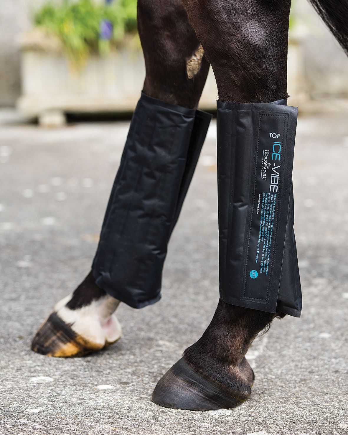 Cooling gaiters Ice-Vibe Boot in black/aqua