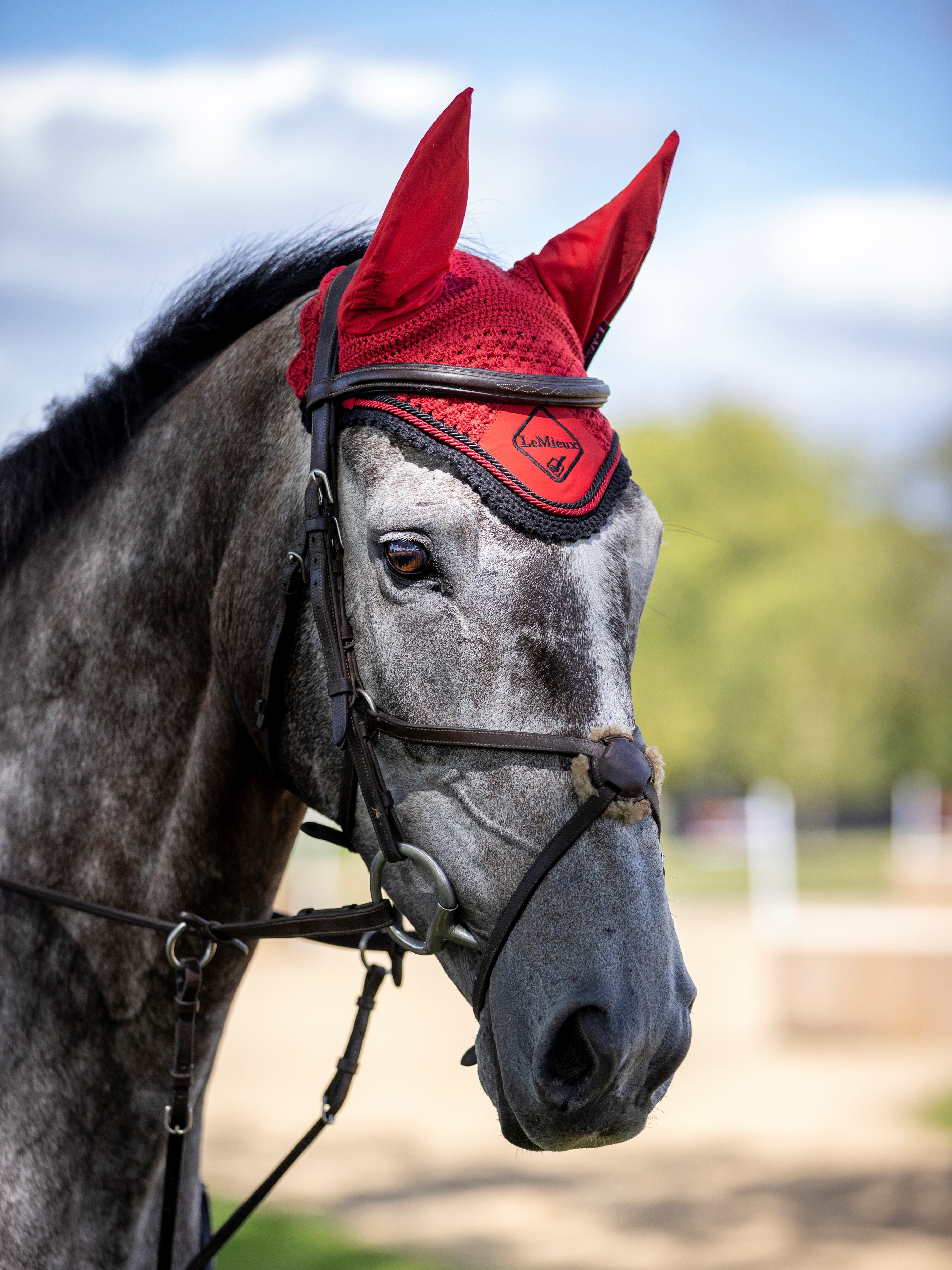 Classic ear bonnet