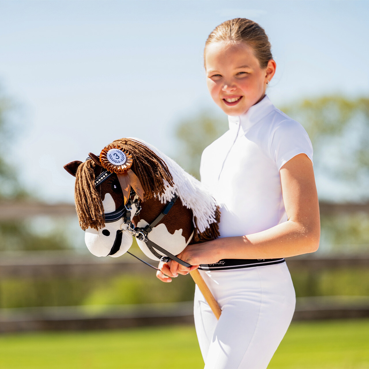 Rosetten-Set Hobby horse