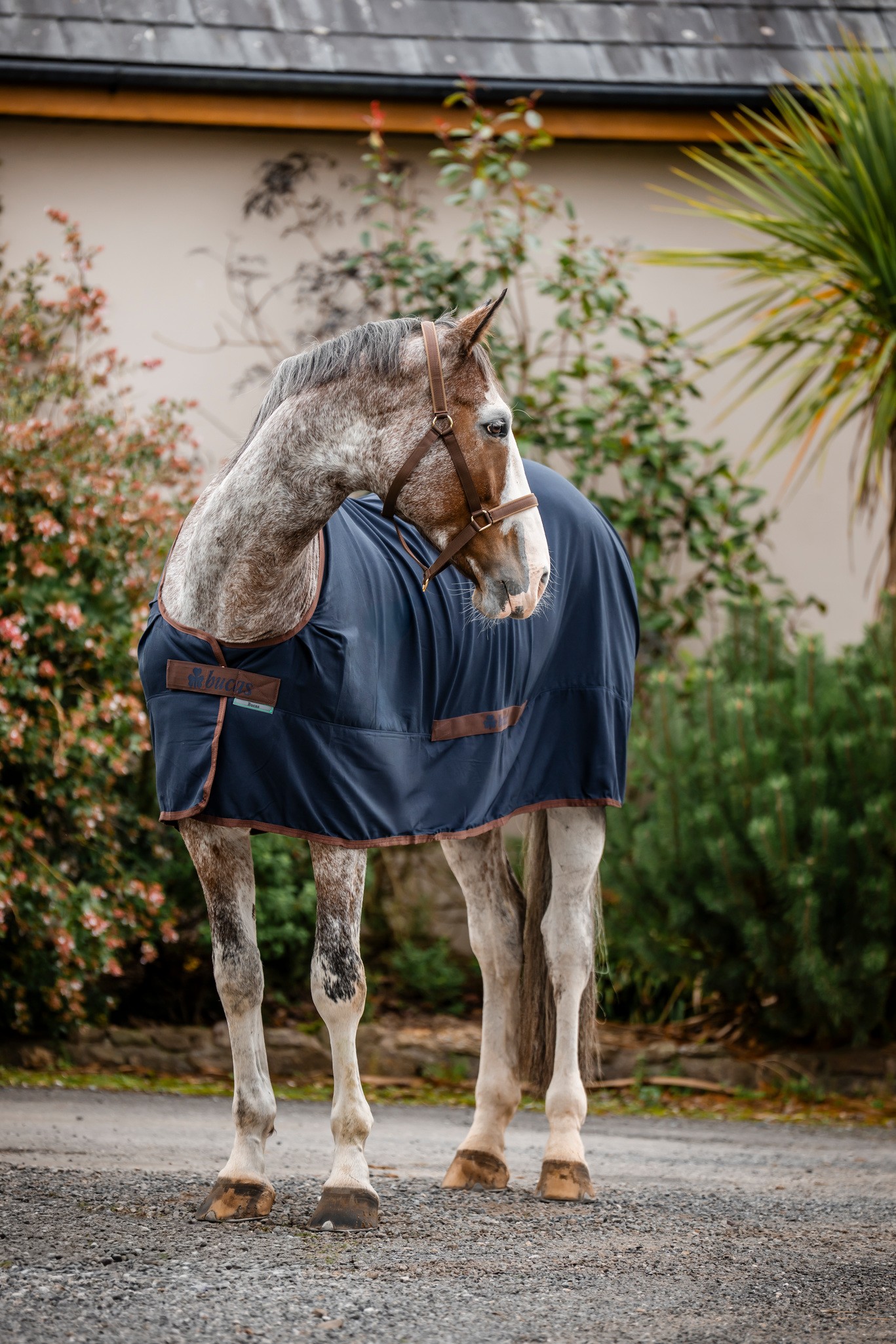 Stalldecke Cool Sheet Linen in Navy/Coffee