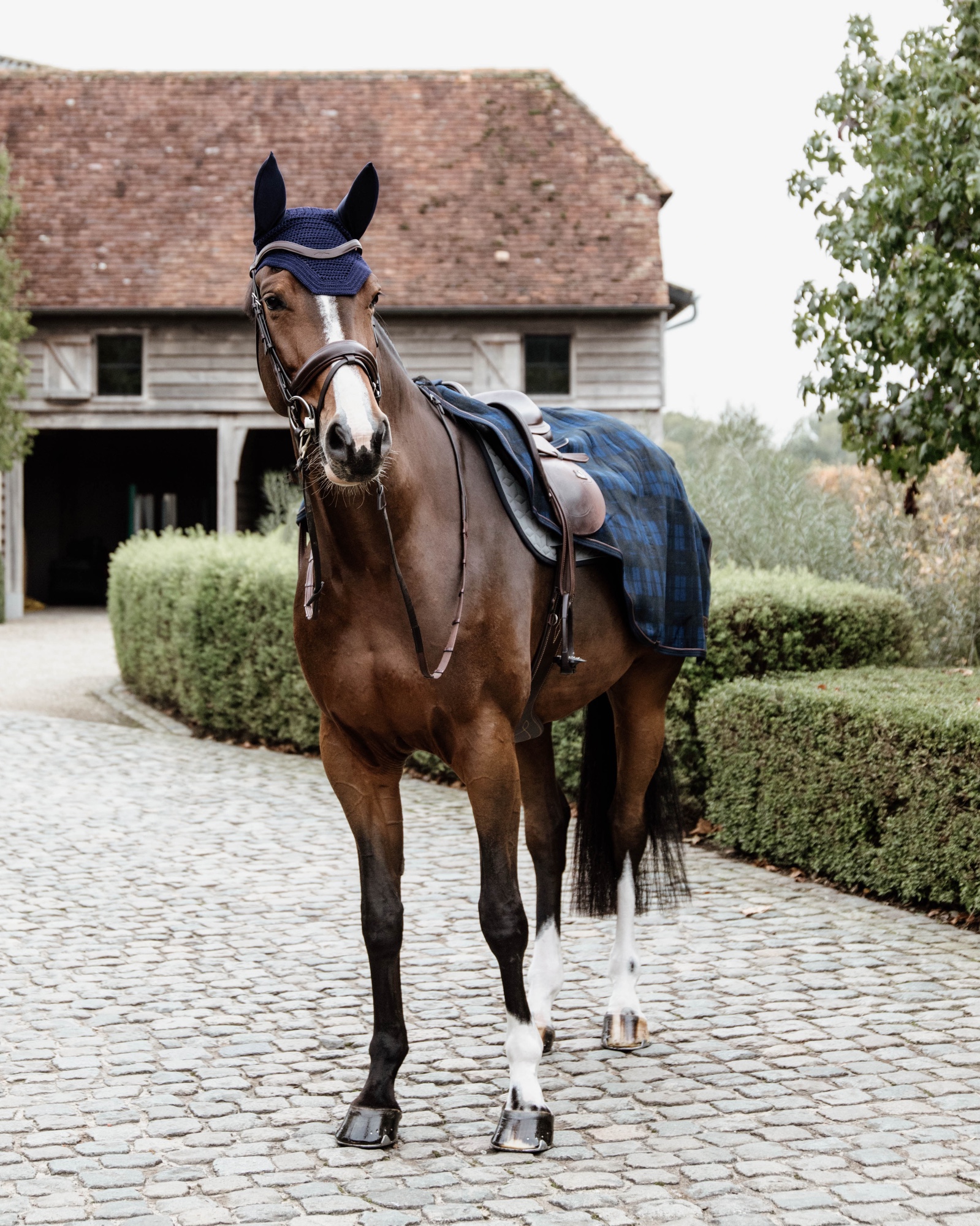 Riding rug heavy fleece