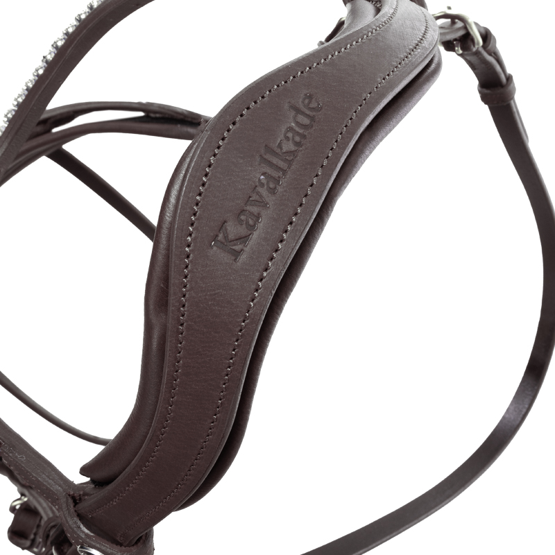 Bridle oiled leather "Caliano Cerra" close-comb.