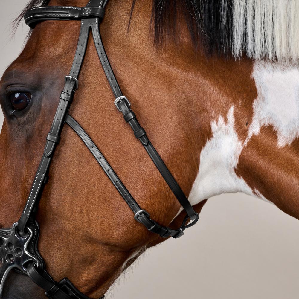 Hackamore-Zaum US