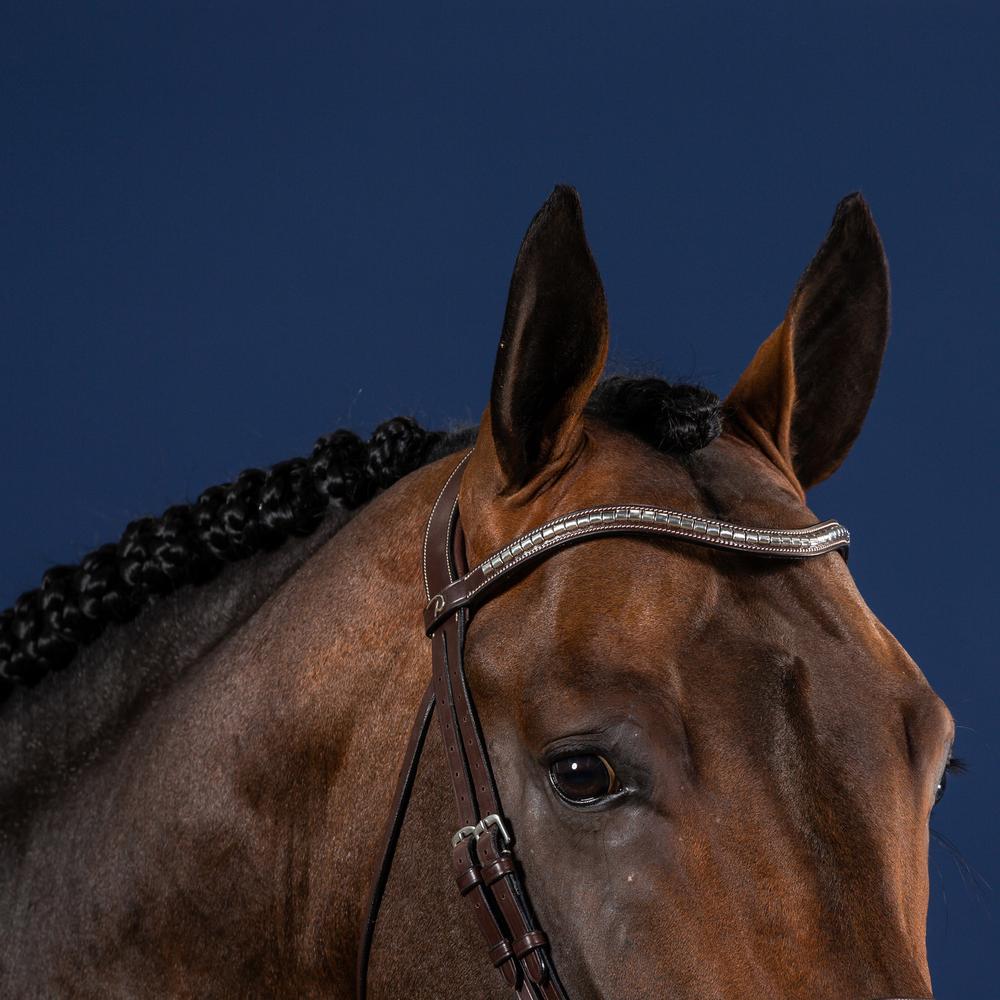 Browband in V-shape with silver fittings