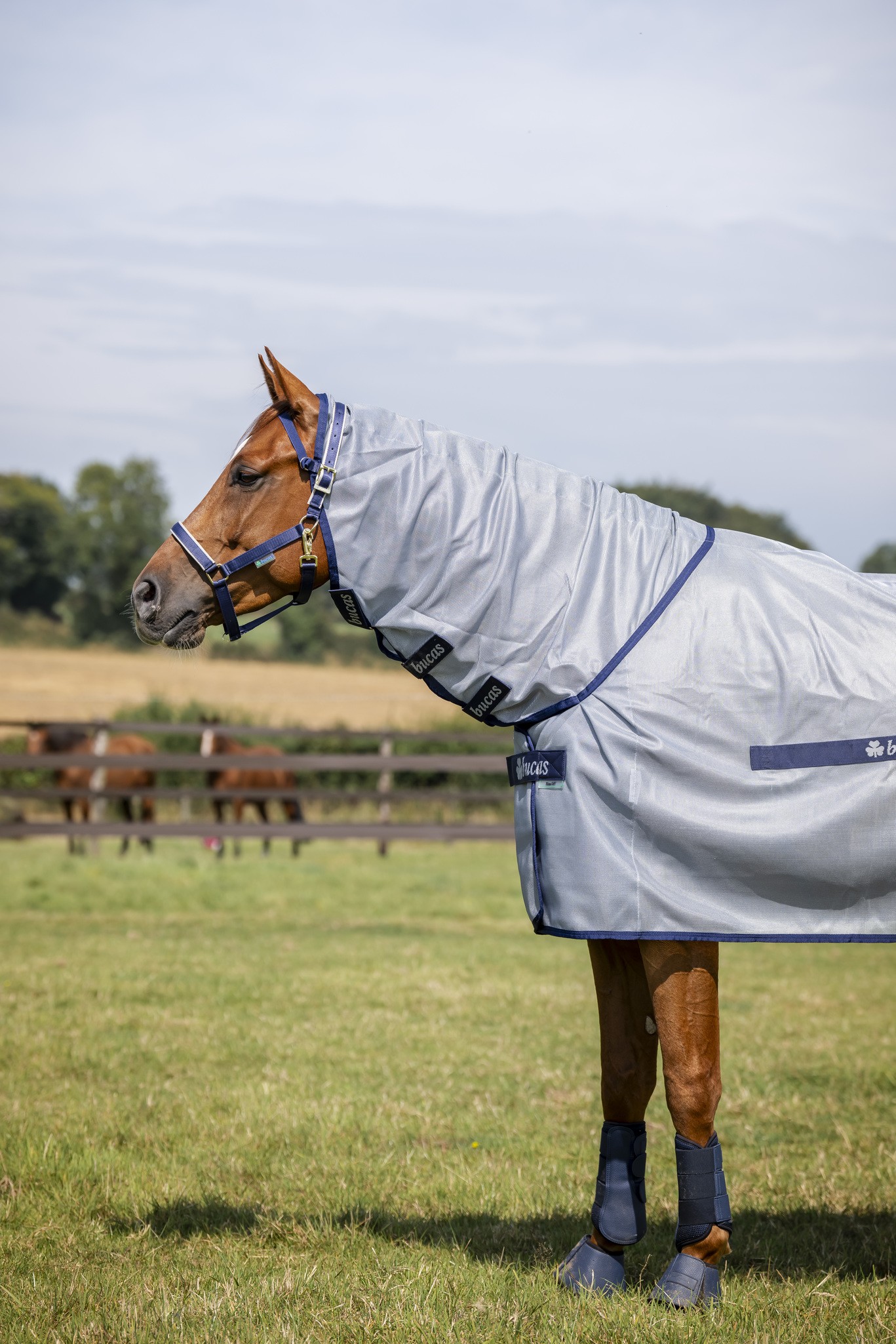 Halsteil Buzz-Off Full Neck in Blue