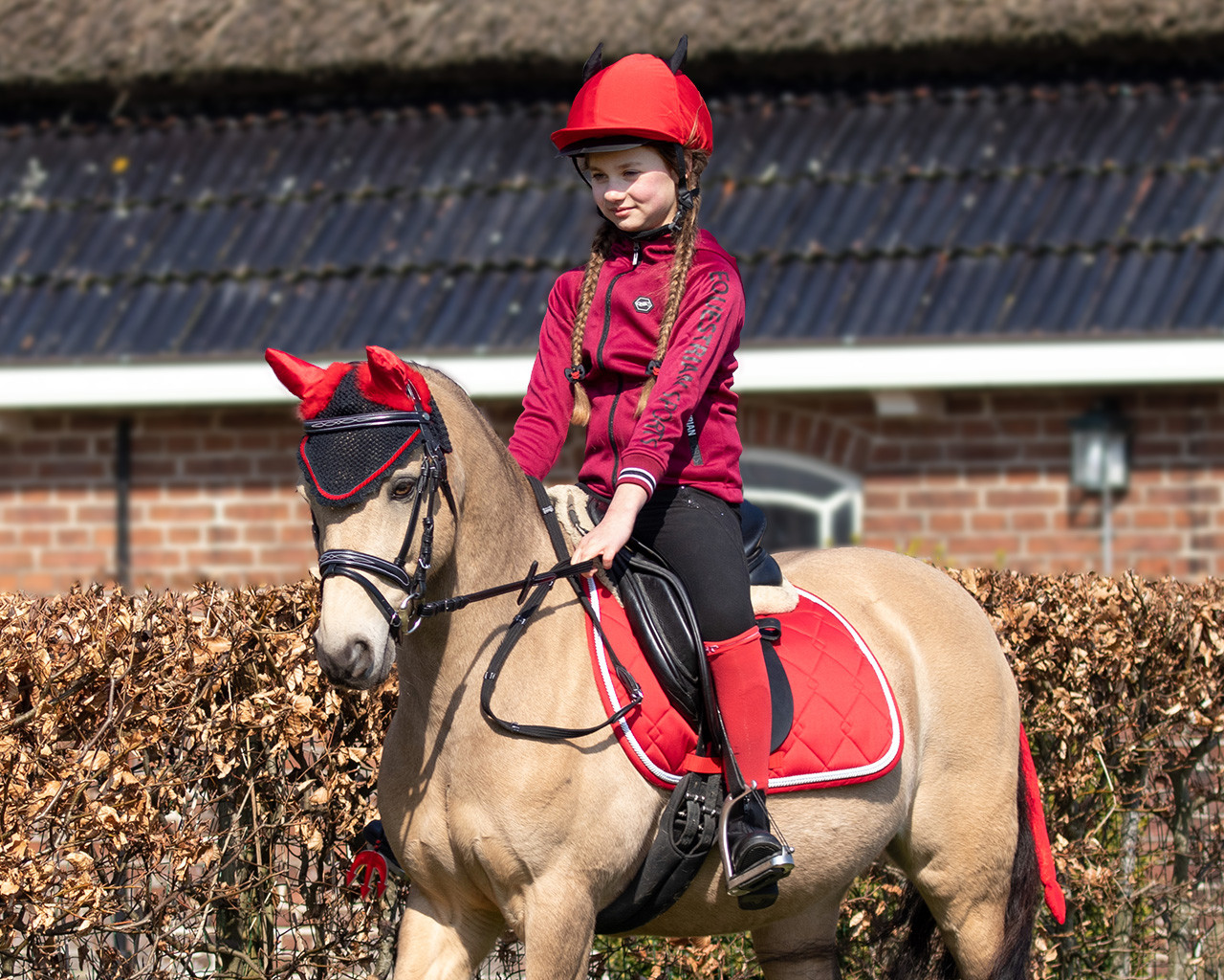 Halloween riding helmet cover