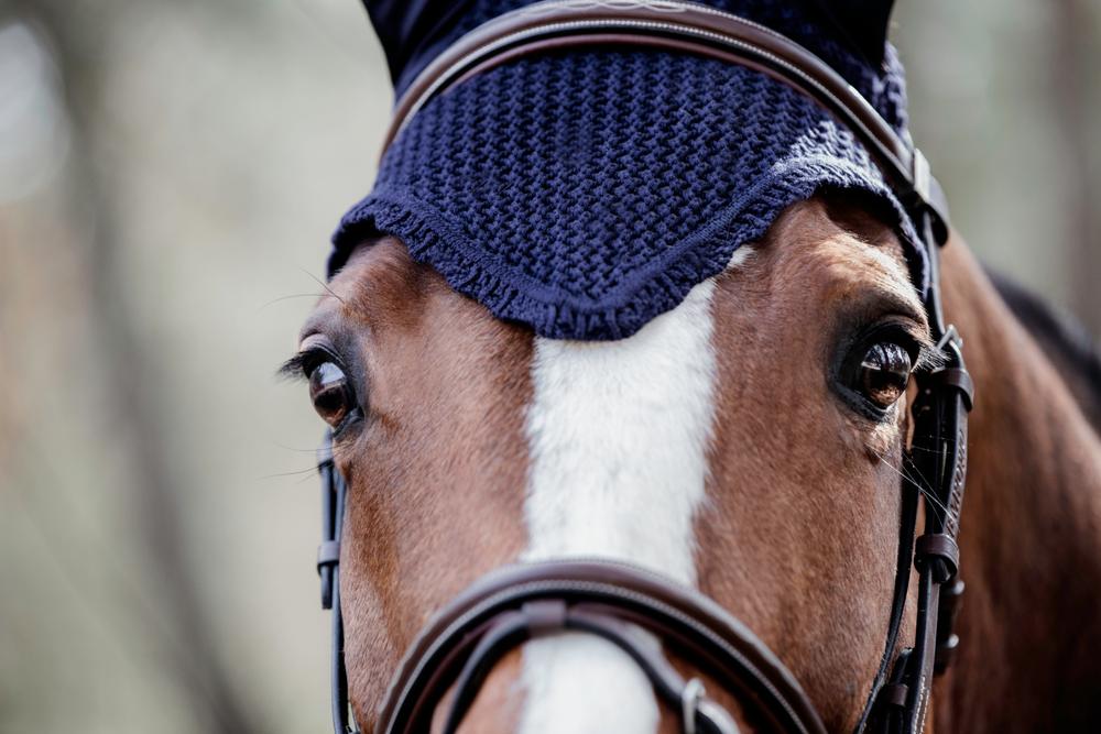 Fliegenhaube