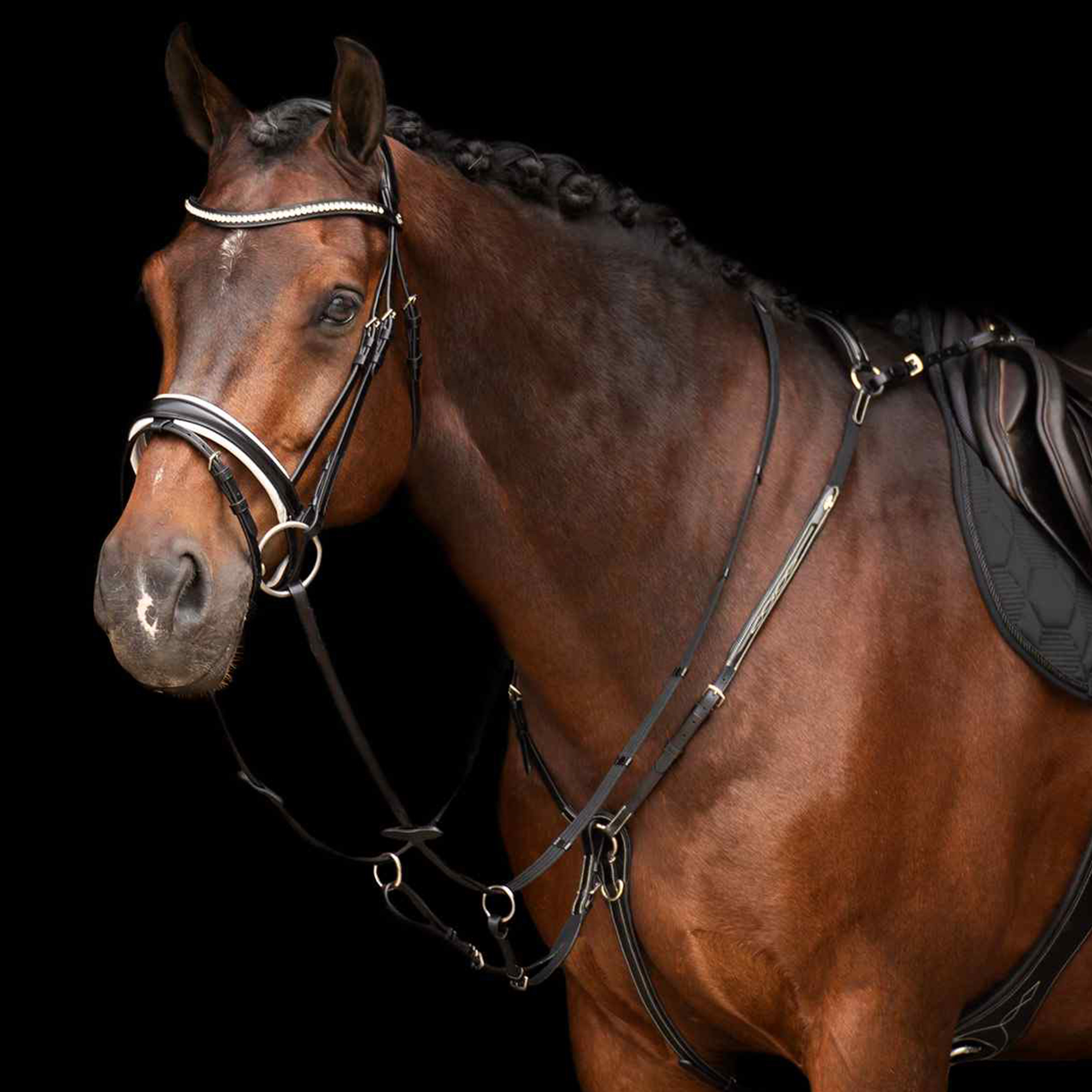 Martingal Legacy