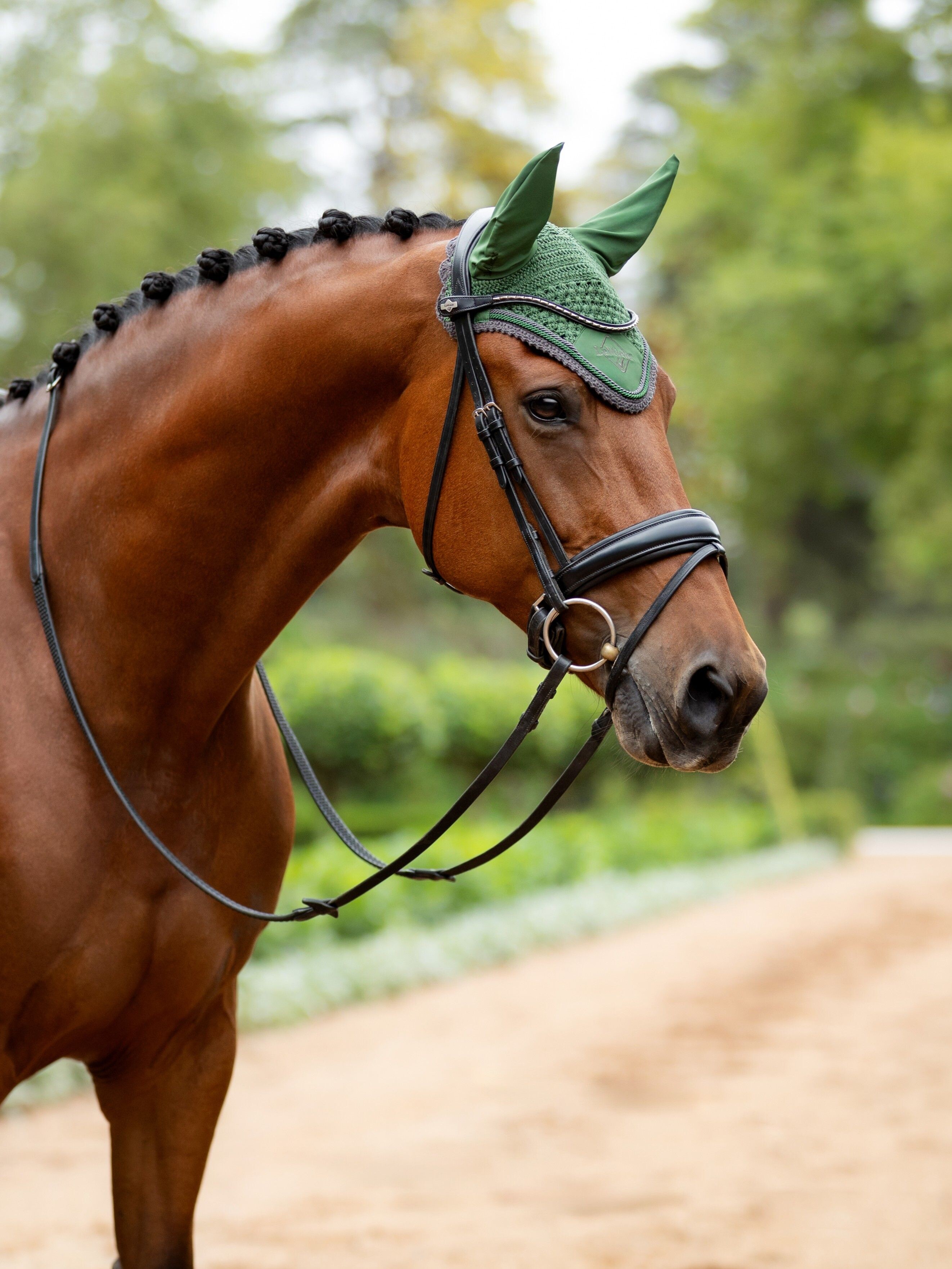 Classic ear bonnet