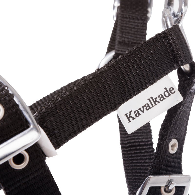 Fohlen- /Jährlingshalfter