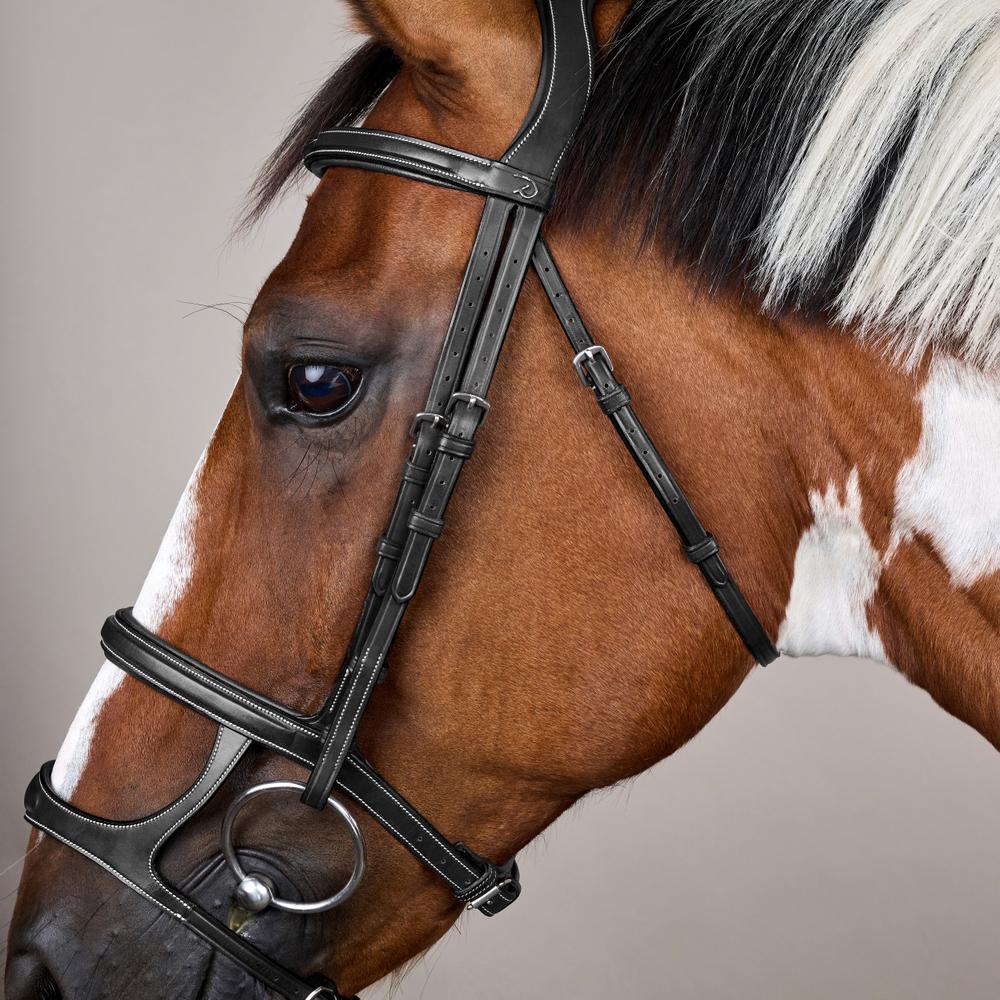 Trense mit Doppelreithalfter US