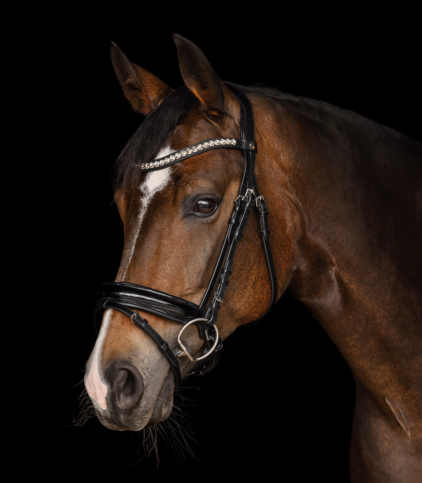 Trensenzaum X-Line Evermore, schwedisch komb.