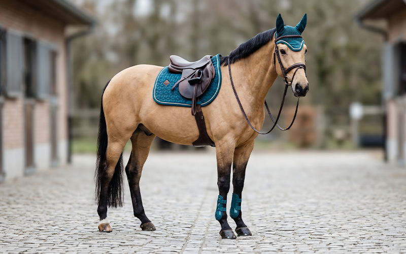 Falbe mit Kentucky Velvet Emerald Outfit