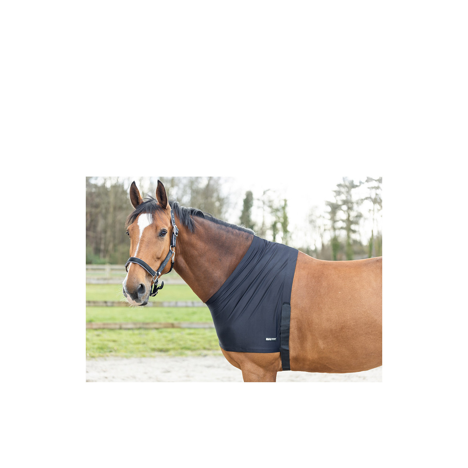 Brustschutz Soft Motion in schwarz