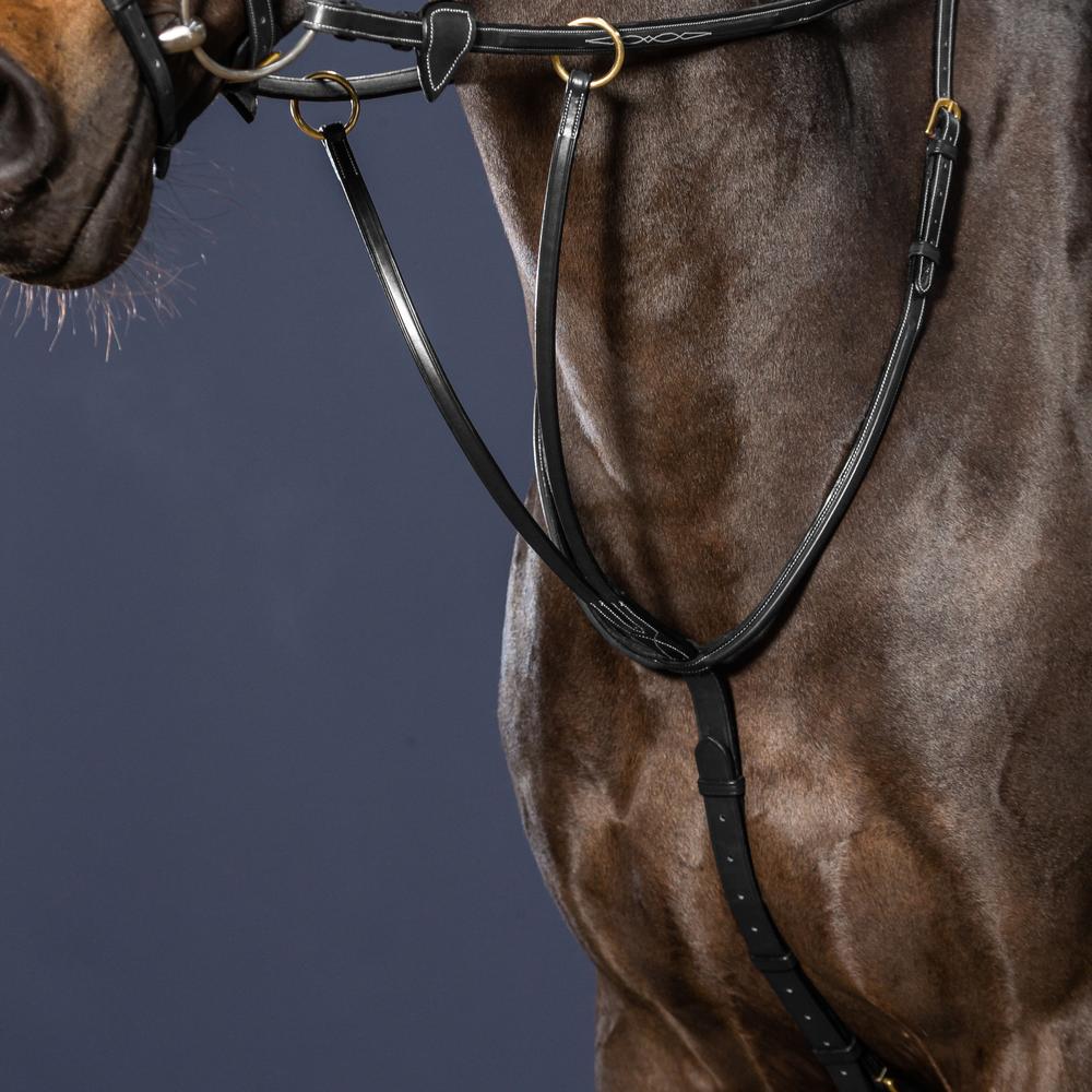 Martingale à anneaux coulissante | Dy'on