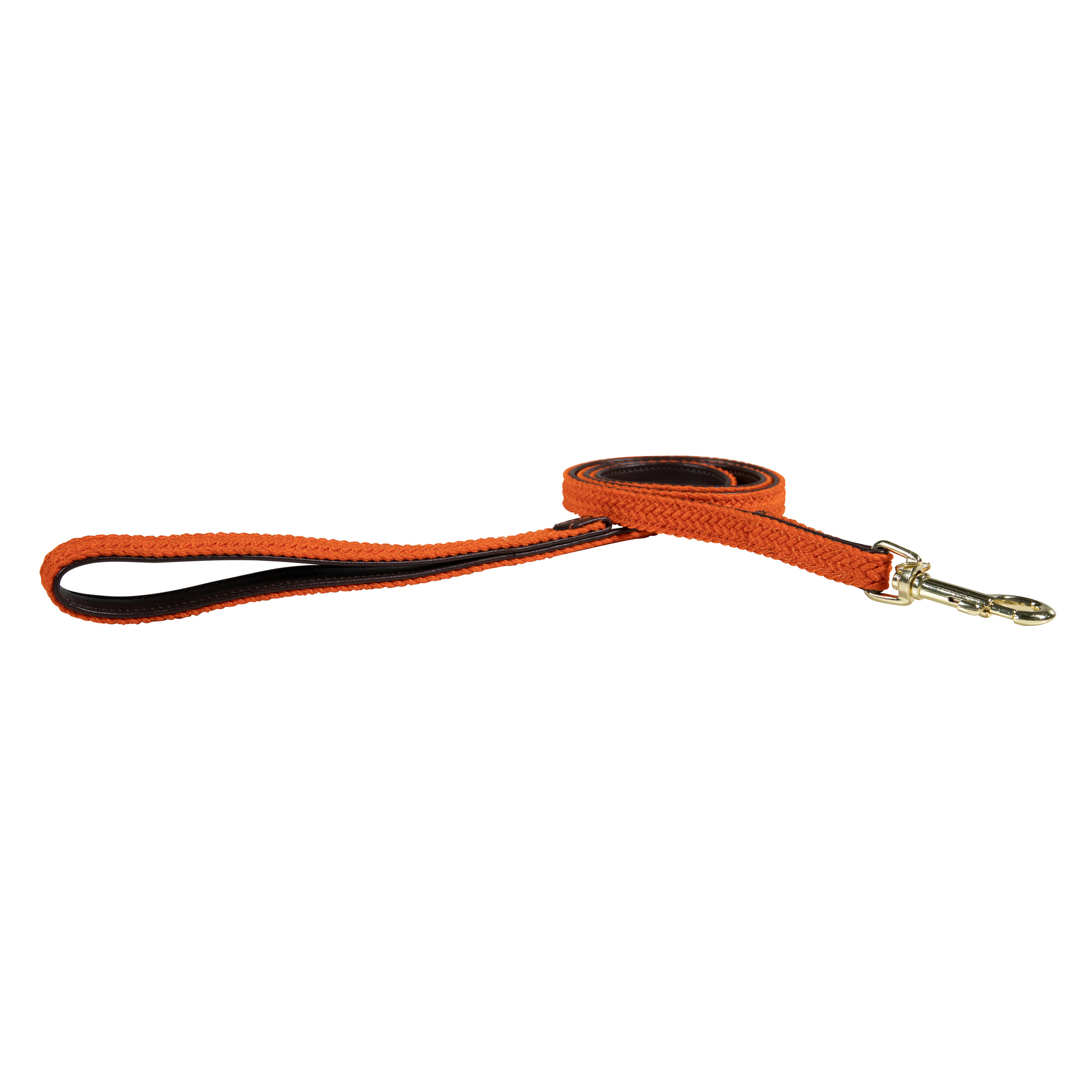 Nylon braided dog lead