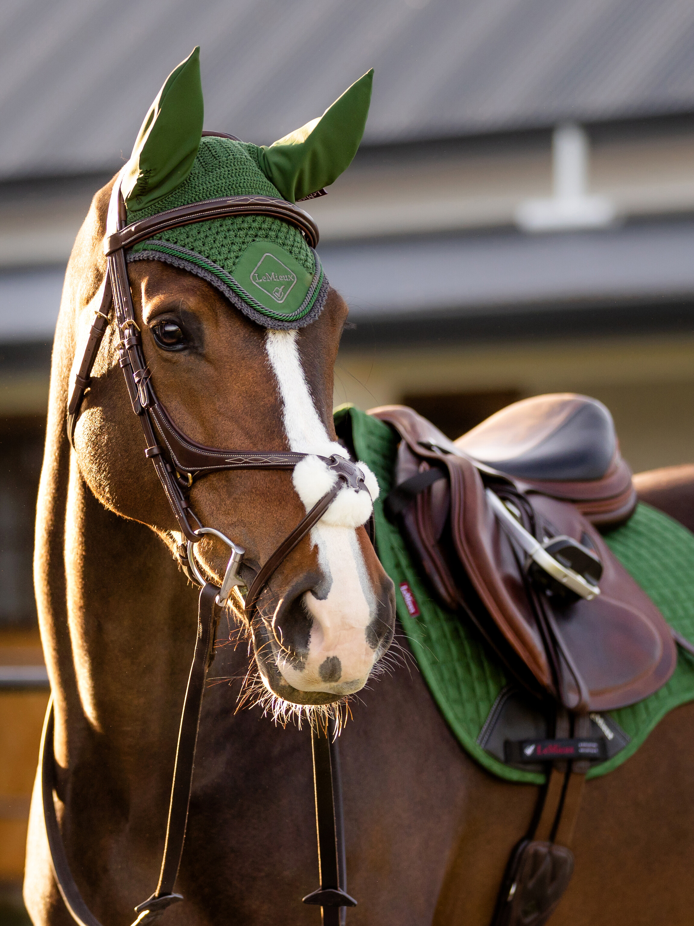 Classic ear bonnet