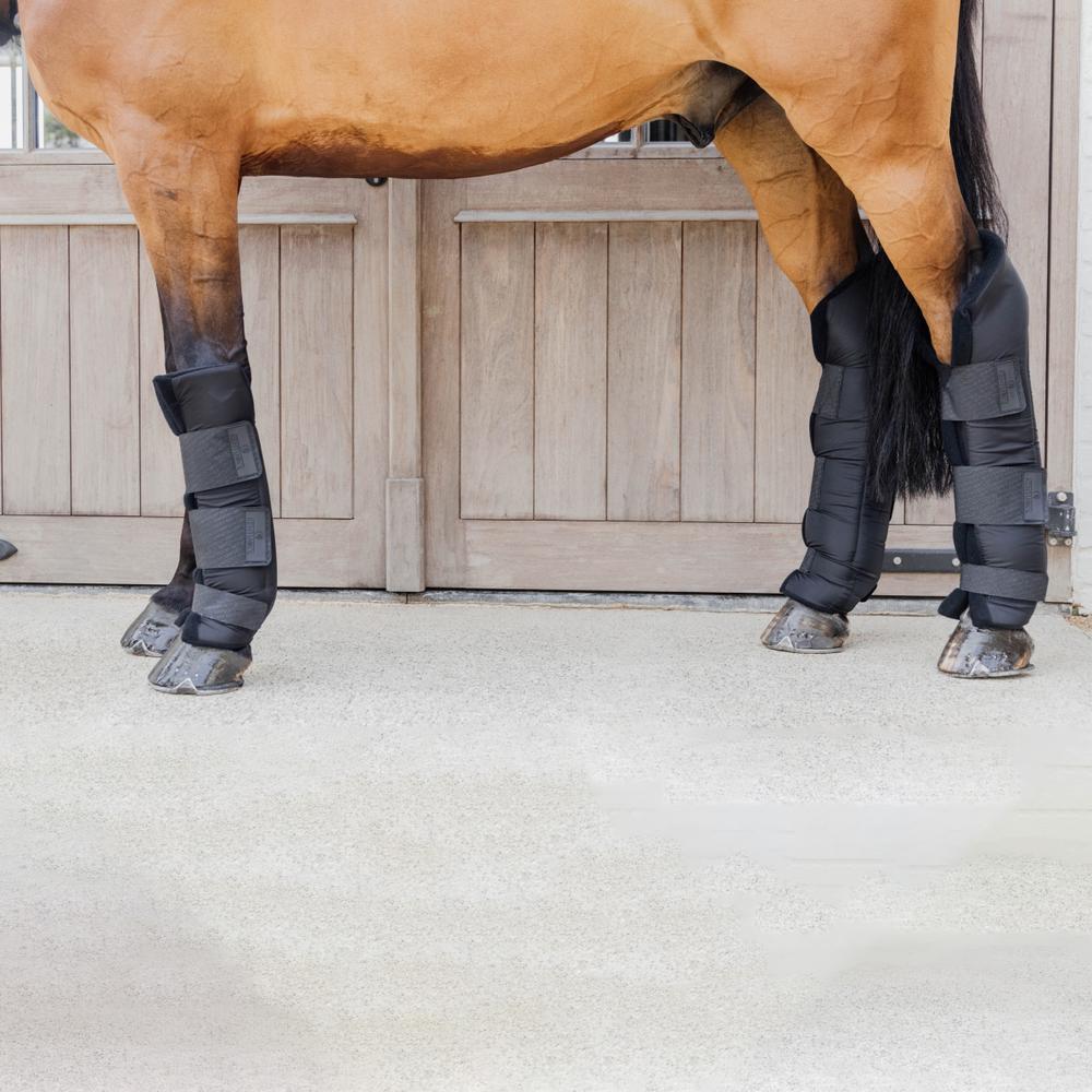 Stallgamaschen PROtect Lang vorne