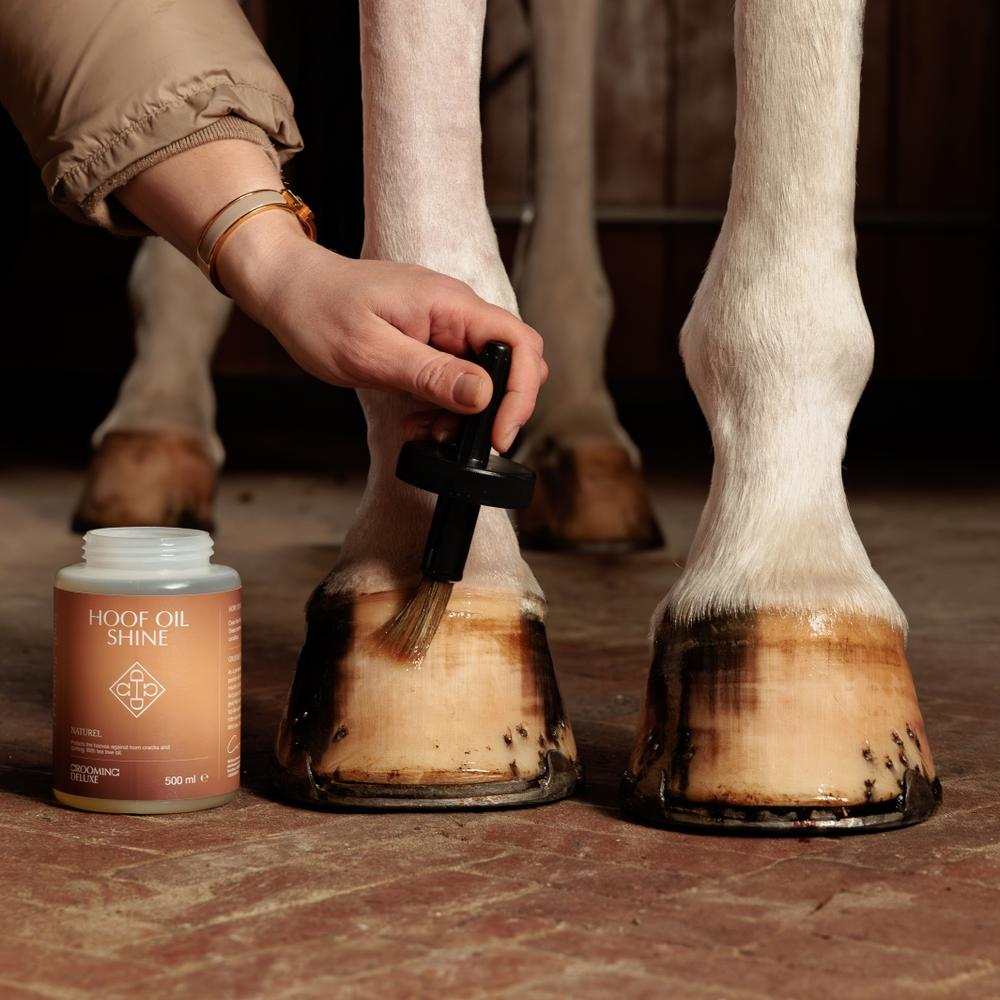 Hoof Oil Shine