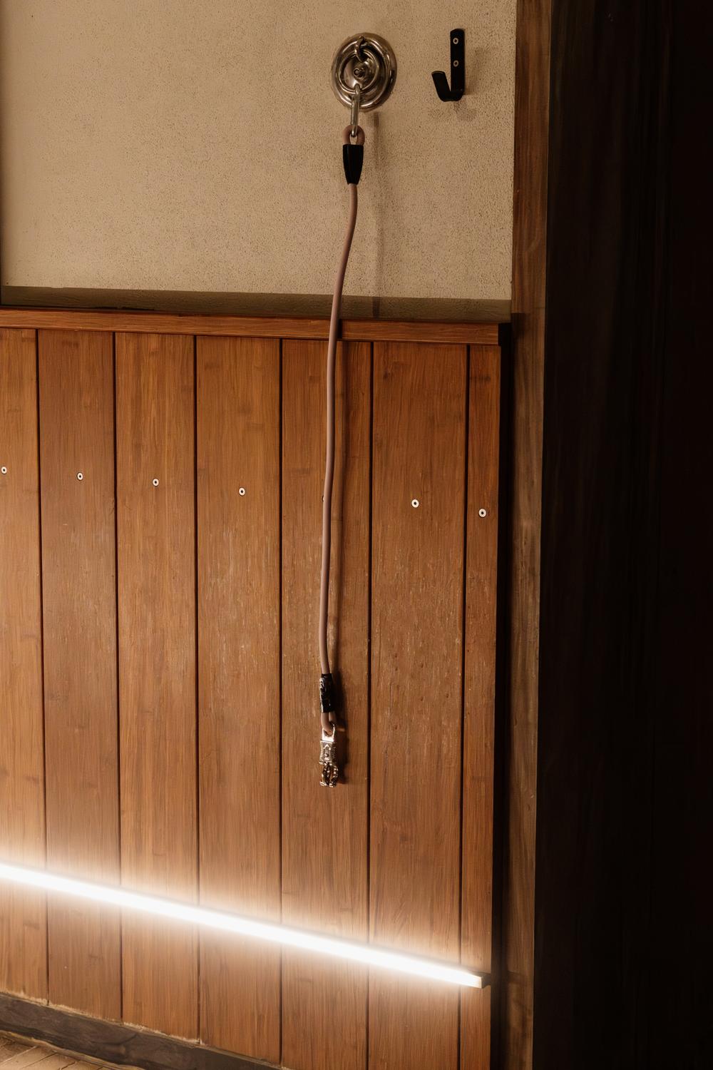 Elastic tether