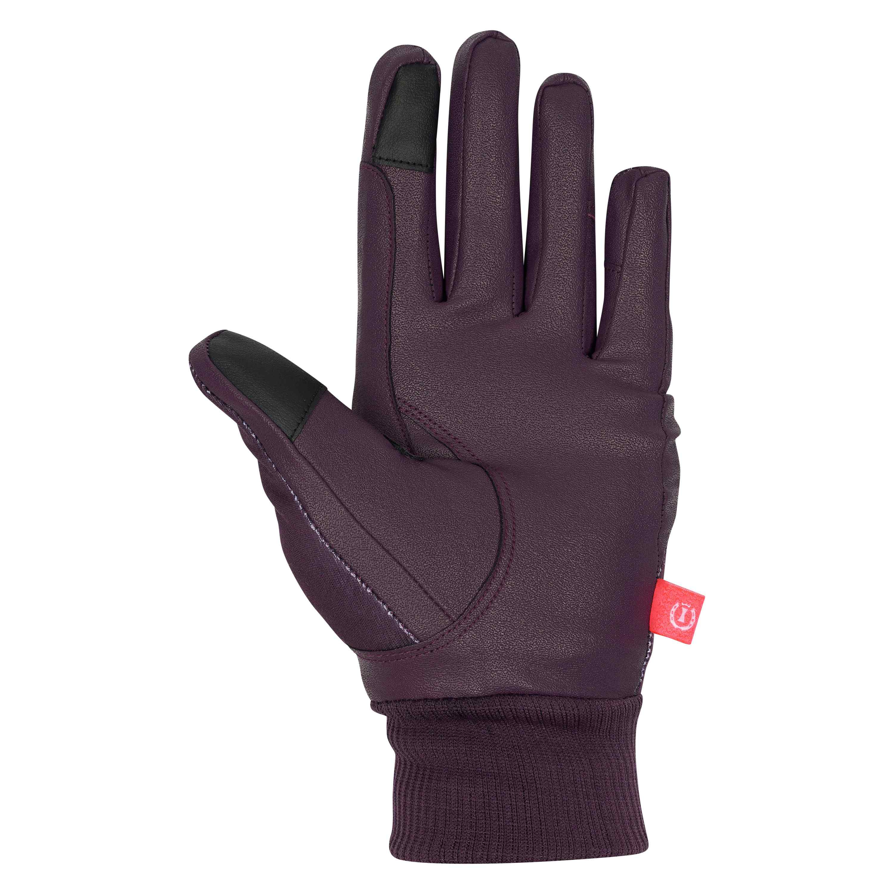 Handschuhe Hide & Shine