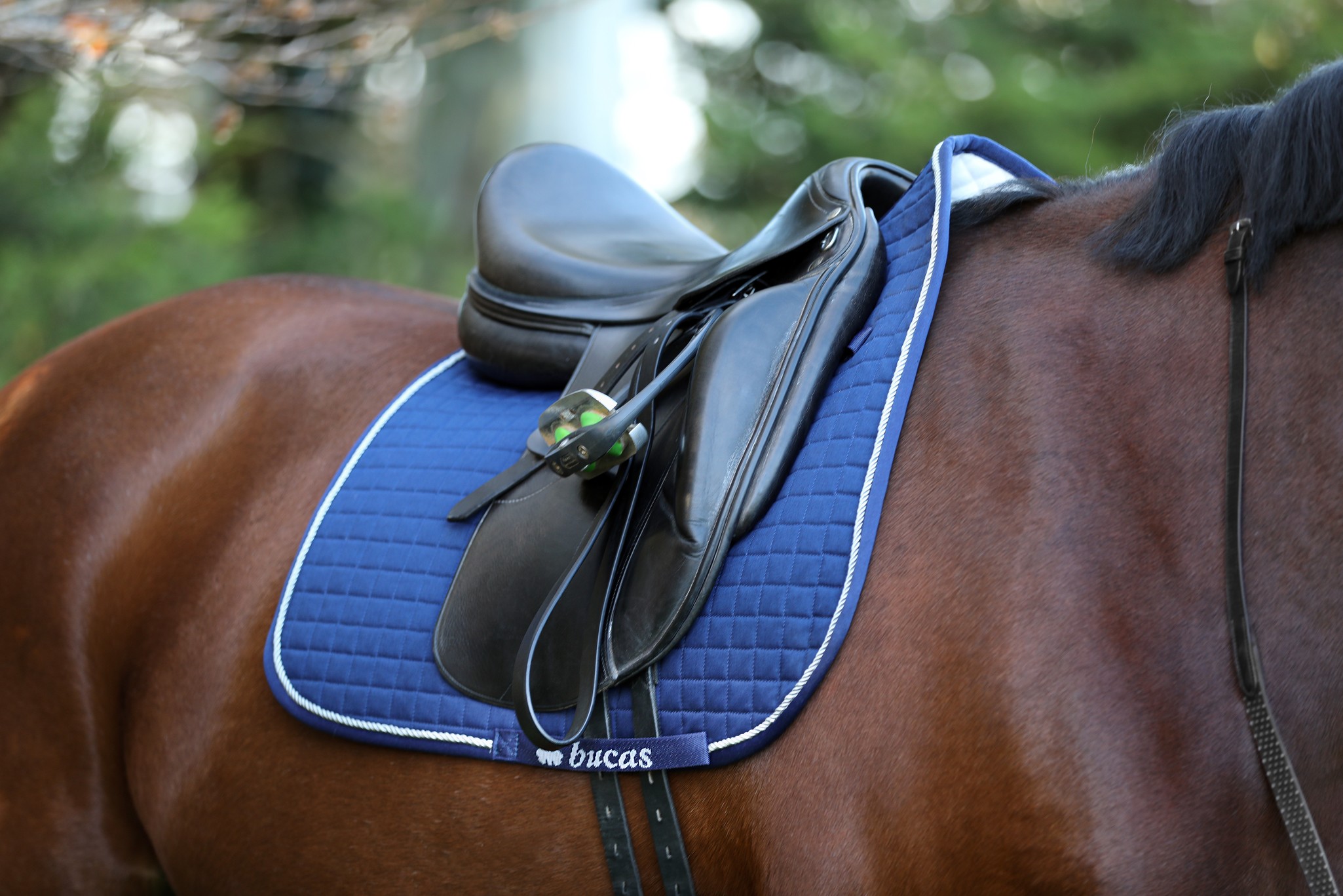 Dressurschabracke Max in Navy/gold