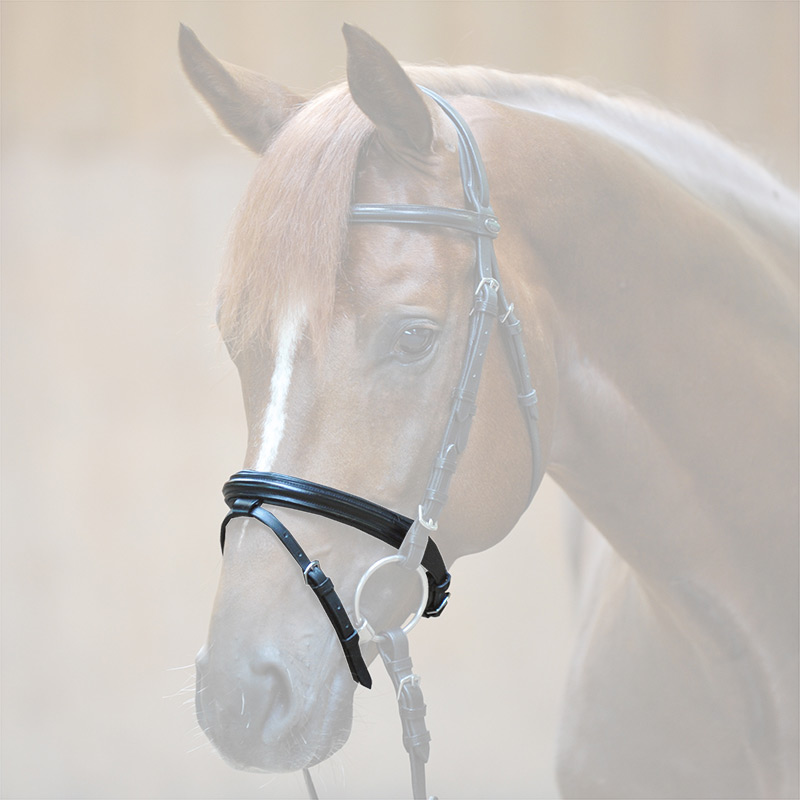 English combined noseband English combined noseband