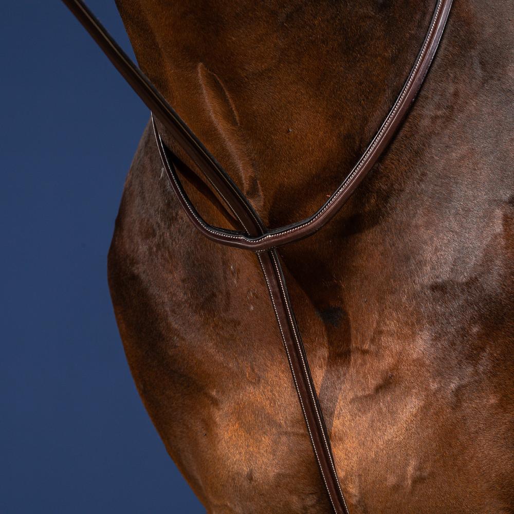 Festes martingale