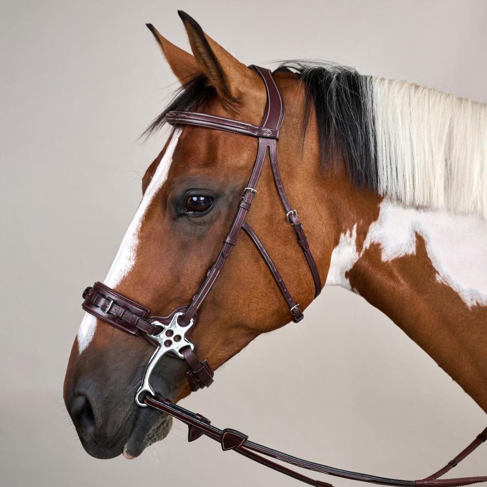Hackamore-Zaum US