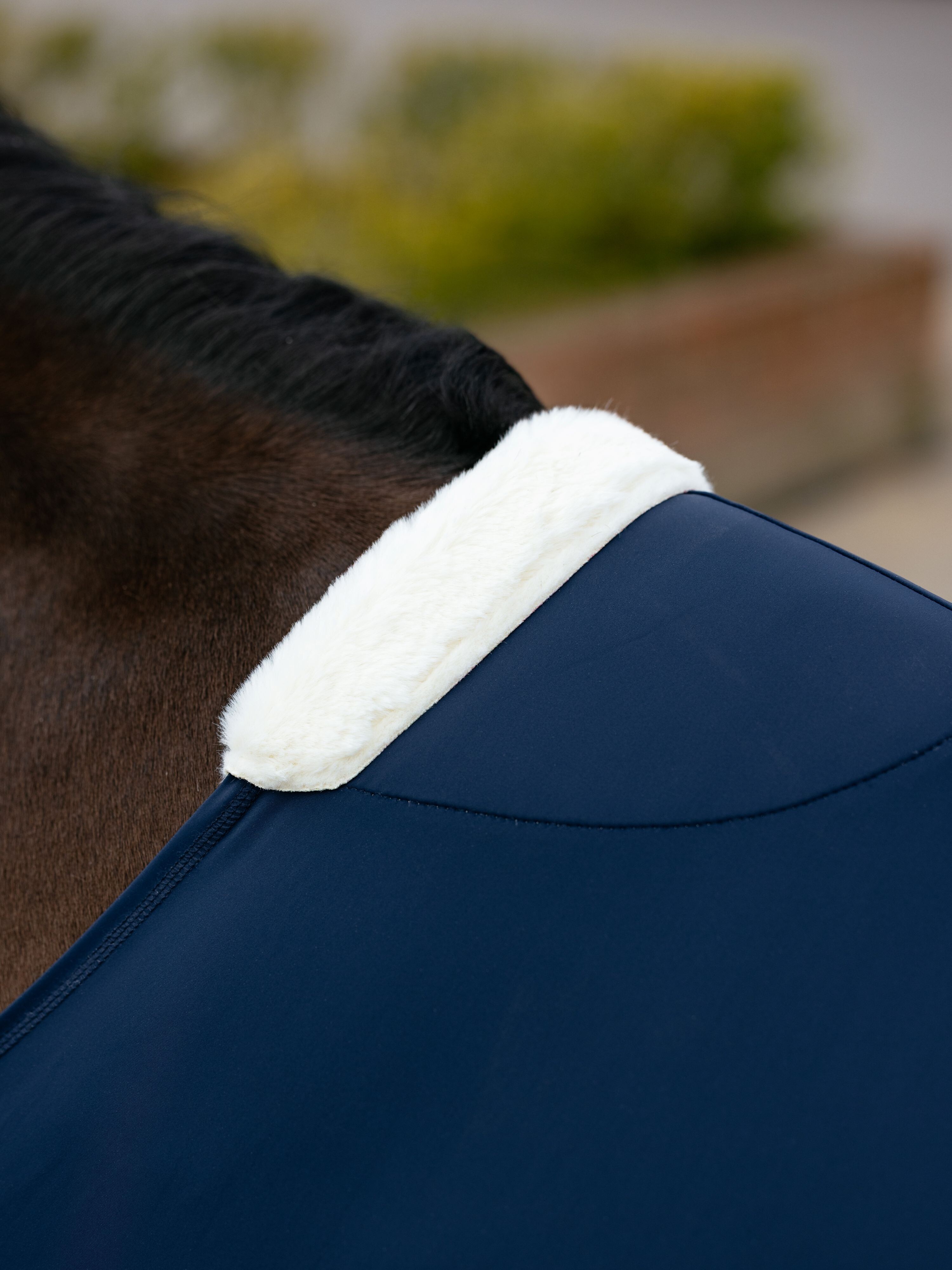 Sensitive Anti Rub chest protector