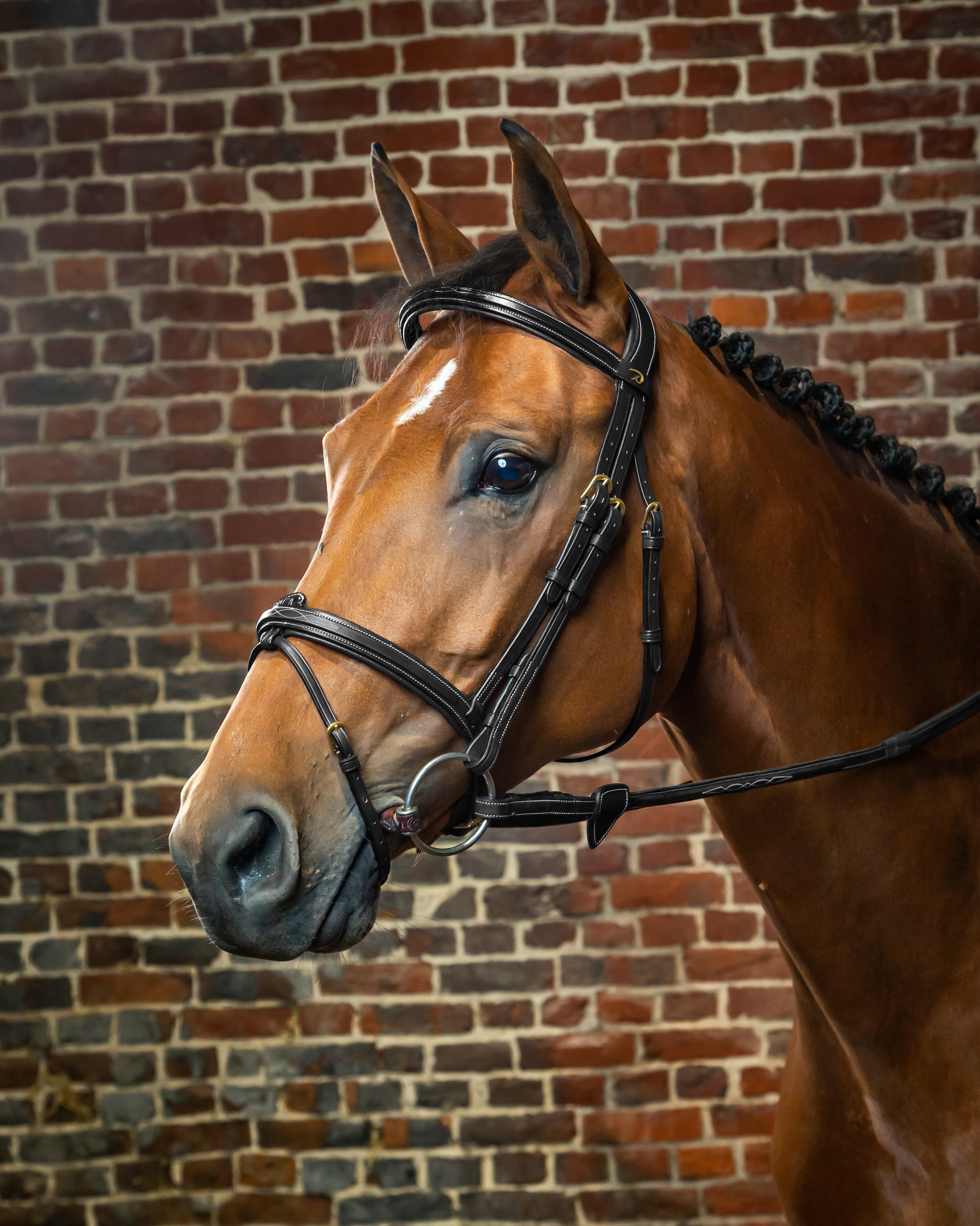 Snaffle combined