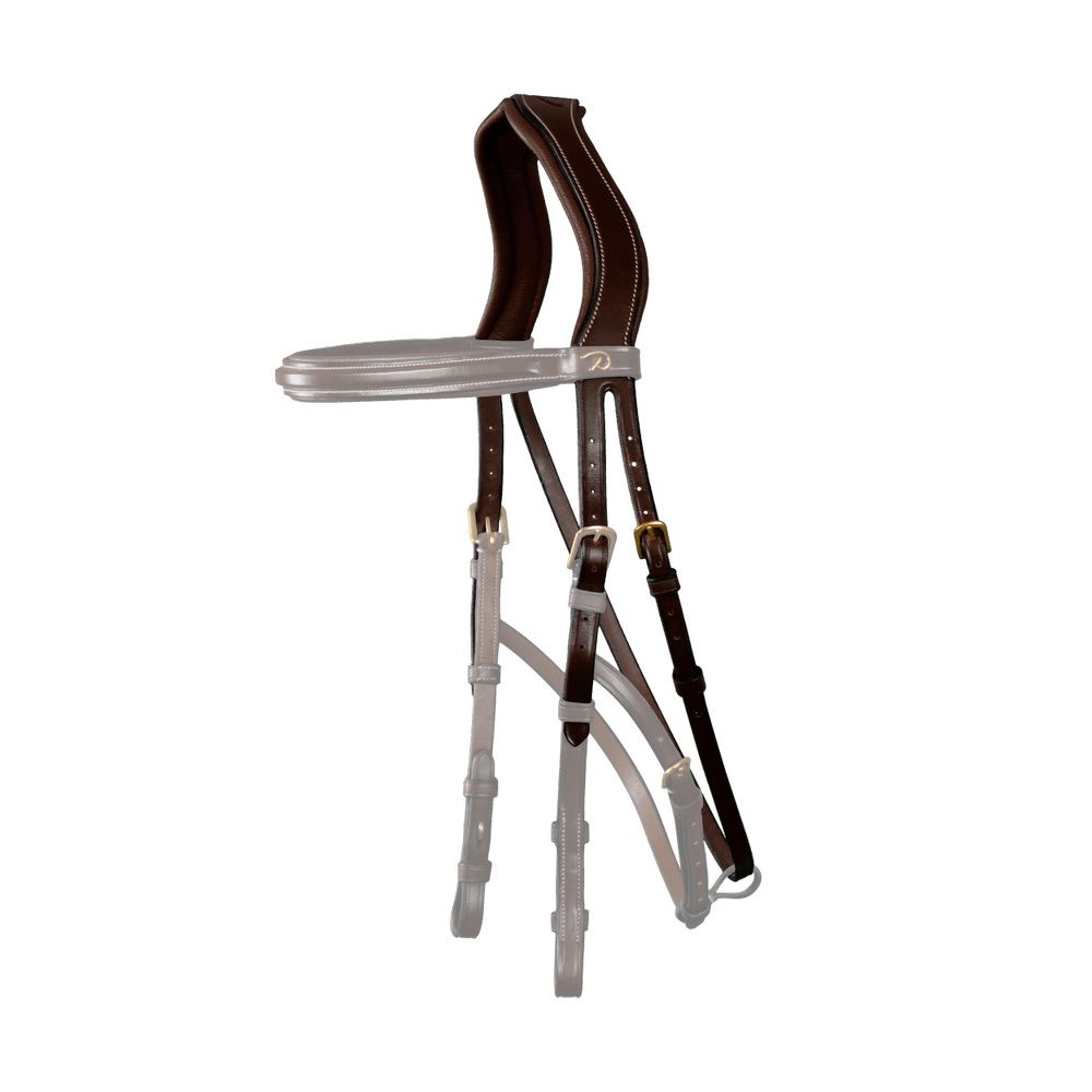 Hackamore-Kopfstück | Dy'on