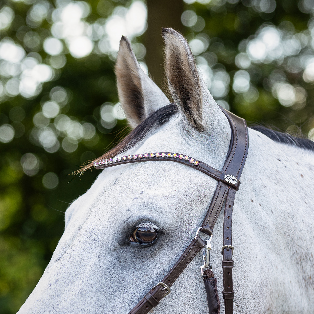 Snaffle bitless Sunna