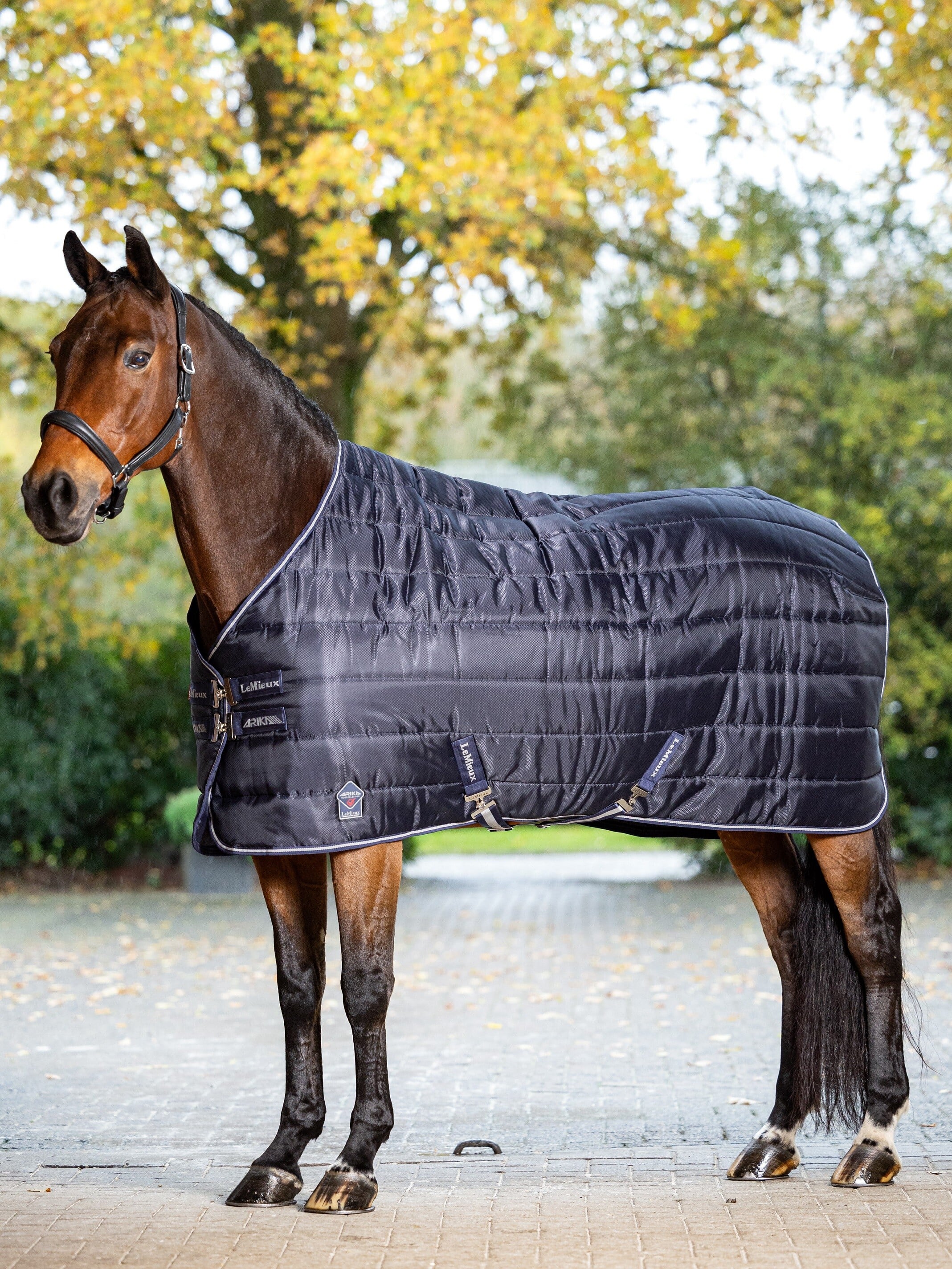 Arika Stable-Tek staldeken 100G