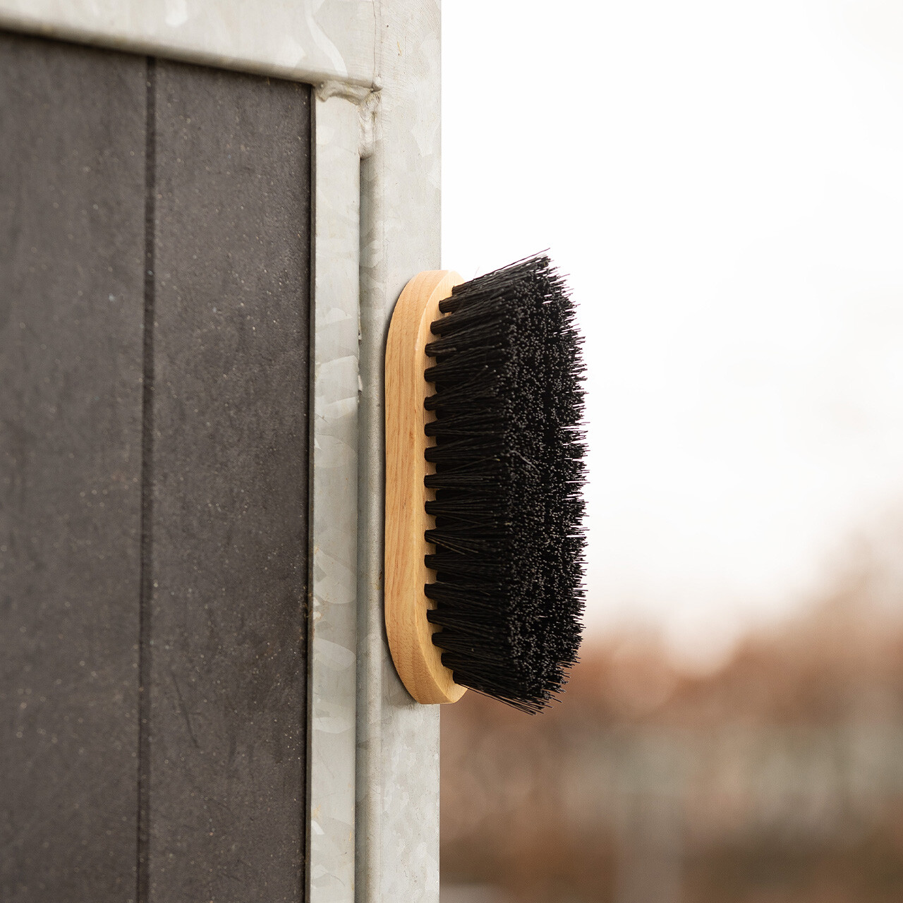 Wurzelbürste Magnet