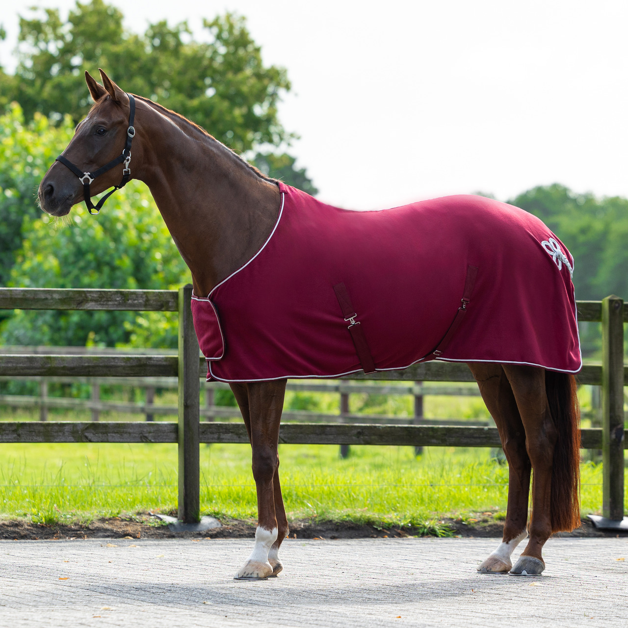 Abschwitzdecke mit Ornament