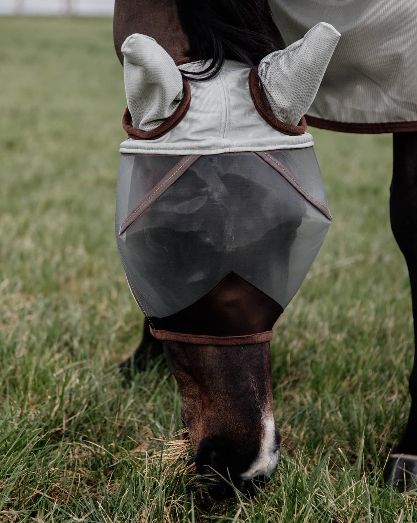 Classic fly mask with ears