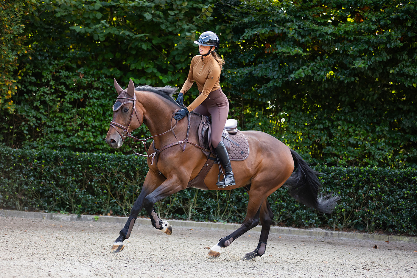 Fetlock Boots Lonneke