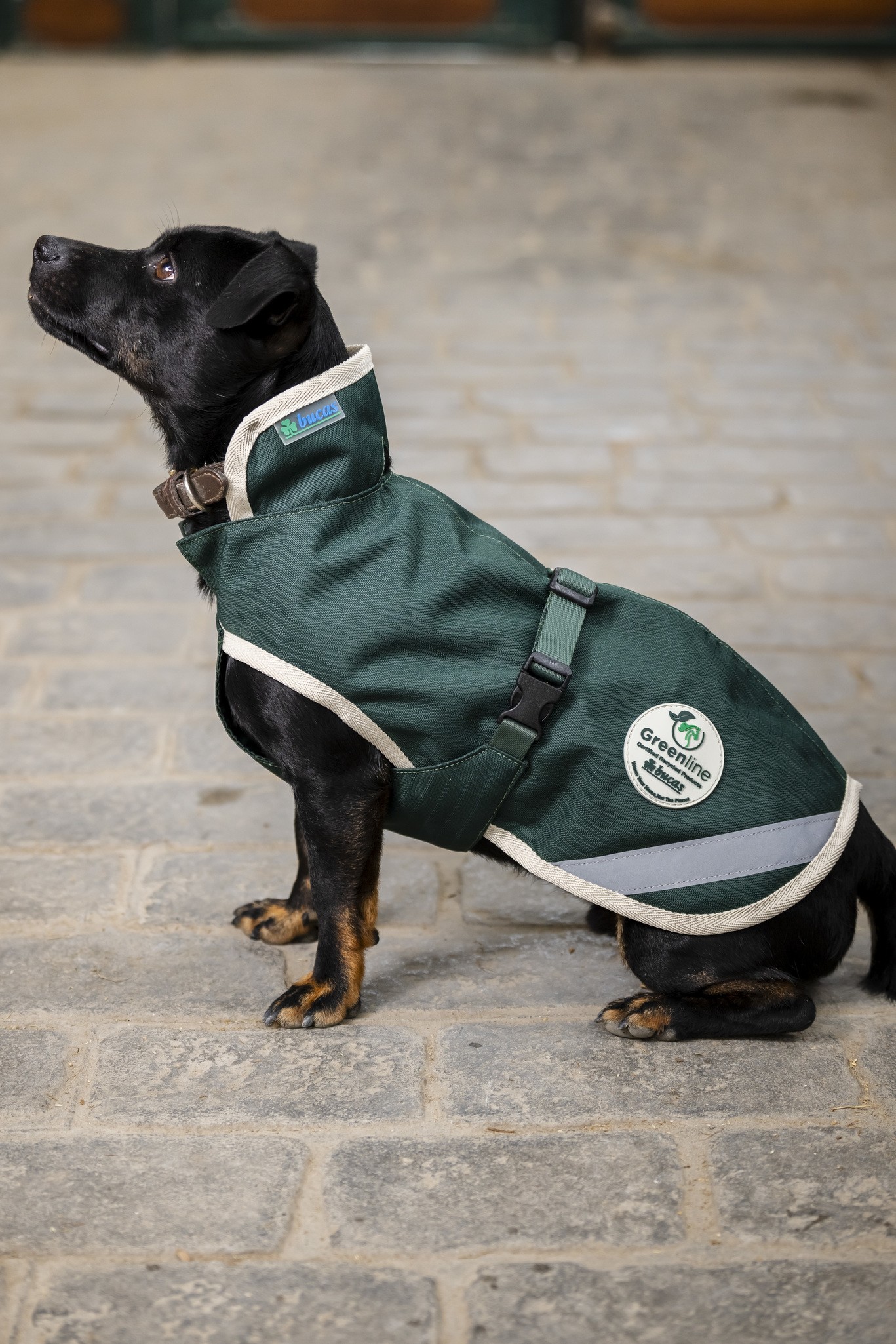Hundedecke Greenline in Green/cream
