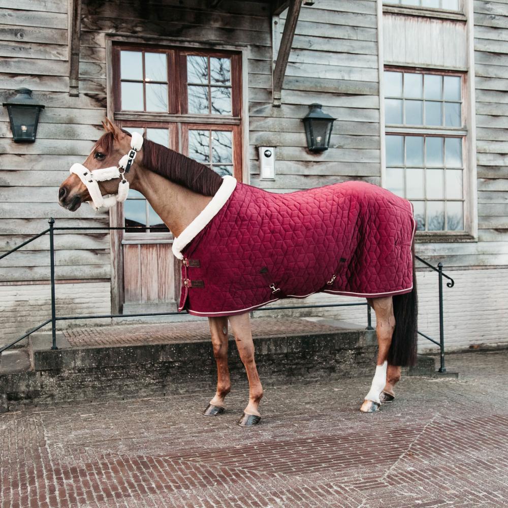 Couverture de concours Show Rug Velvet 160g