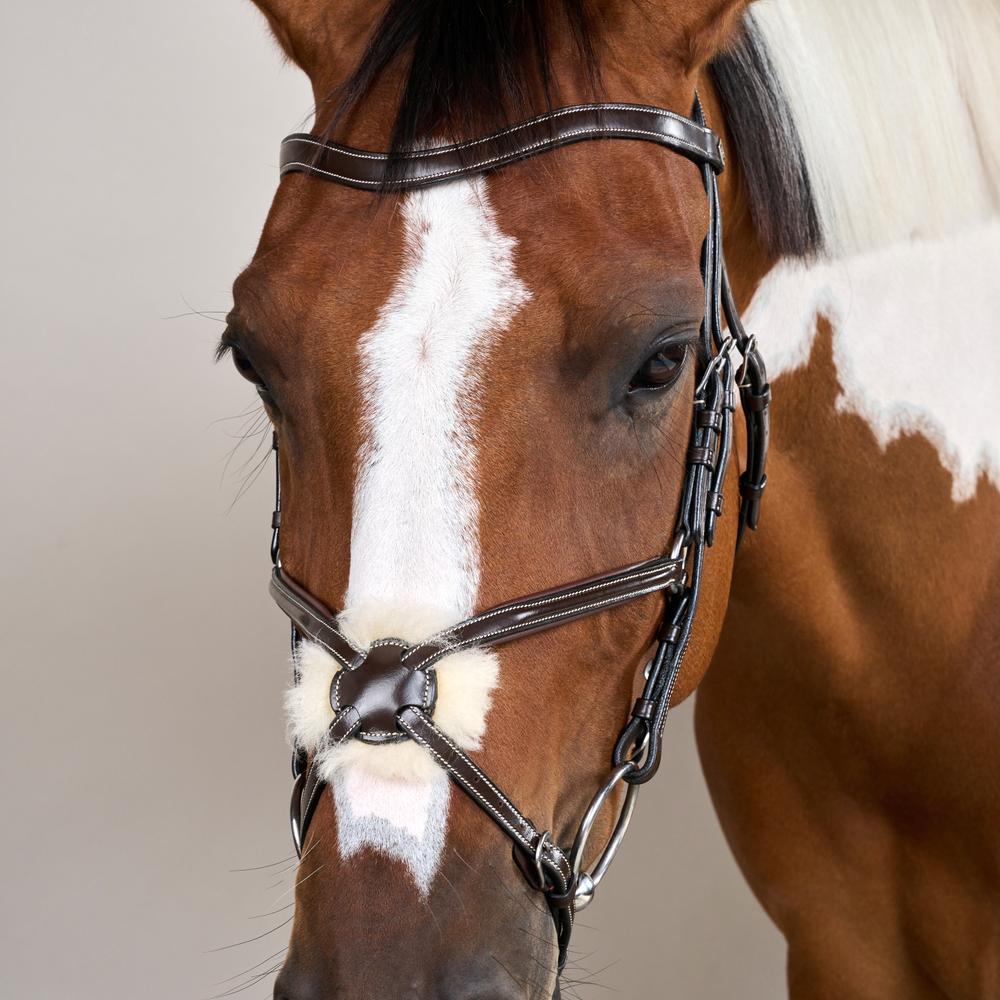 Trense mit mexikanischem Reithalfter WO