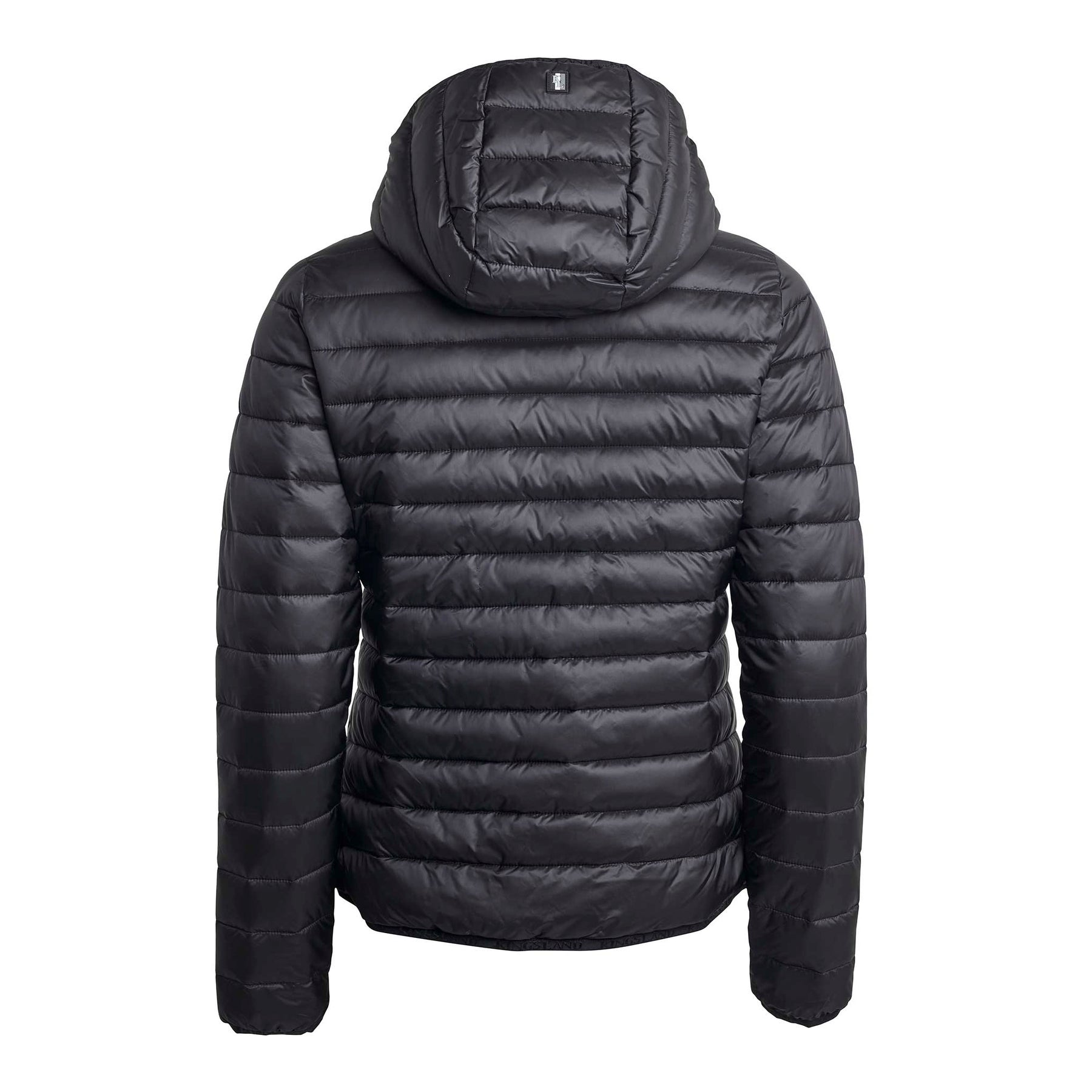 Ladies jacket Classic padded