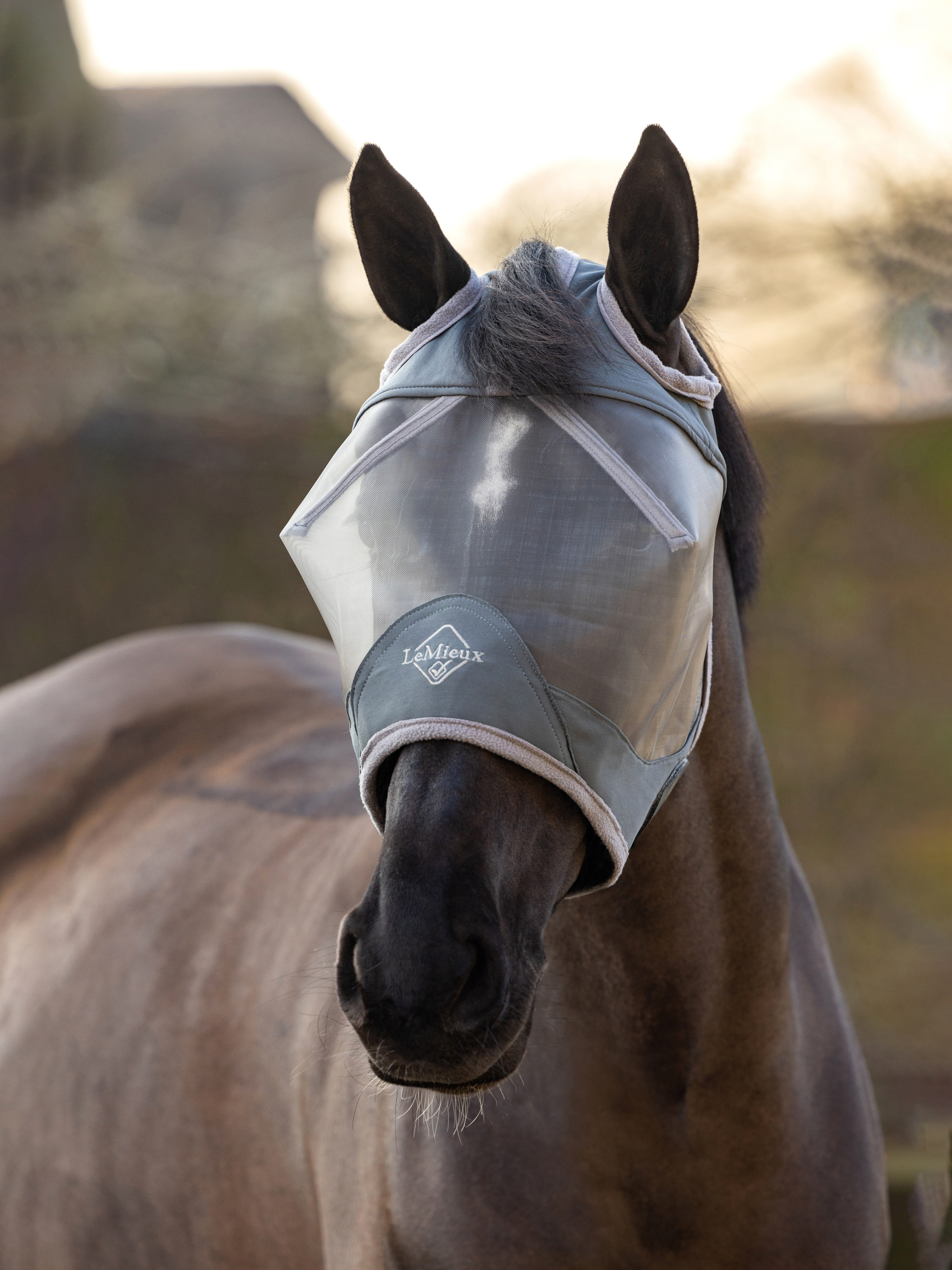 ArmourShield Pro Standard fly mask