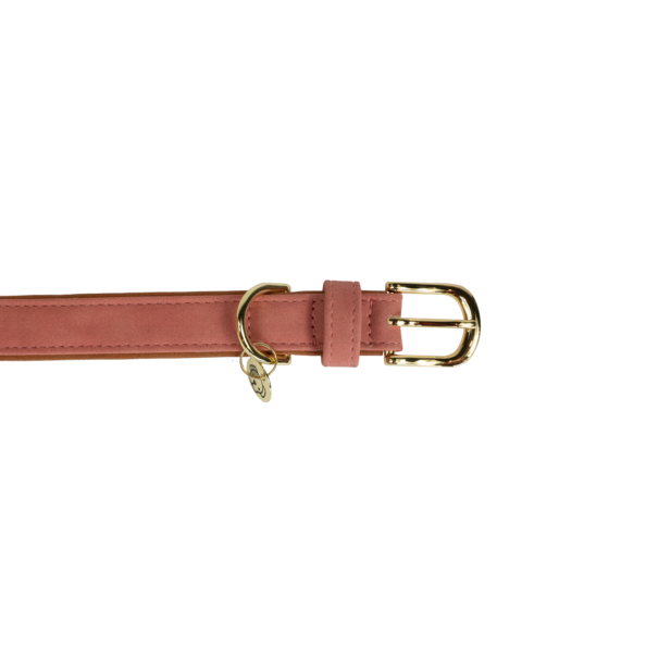 Vegan leather leash