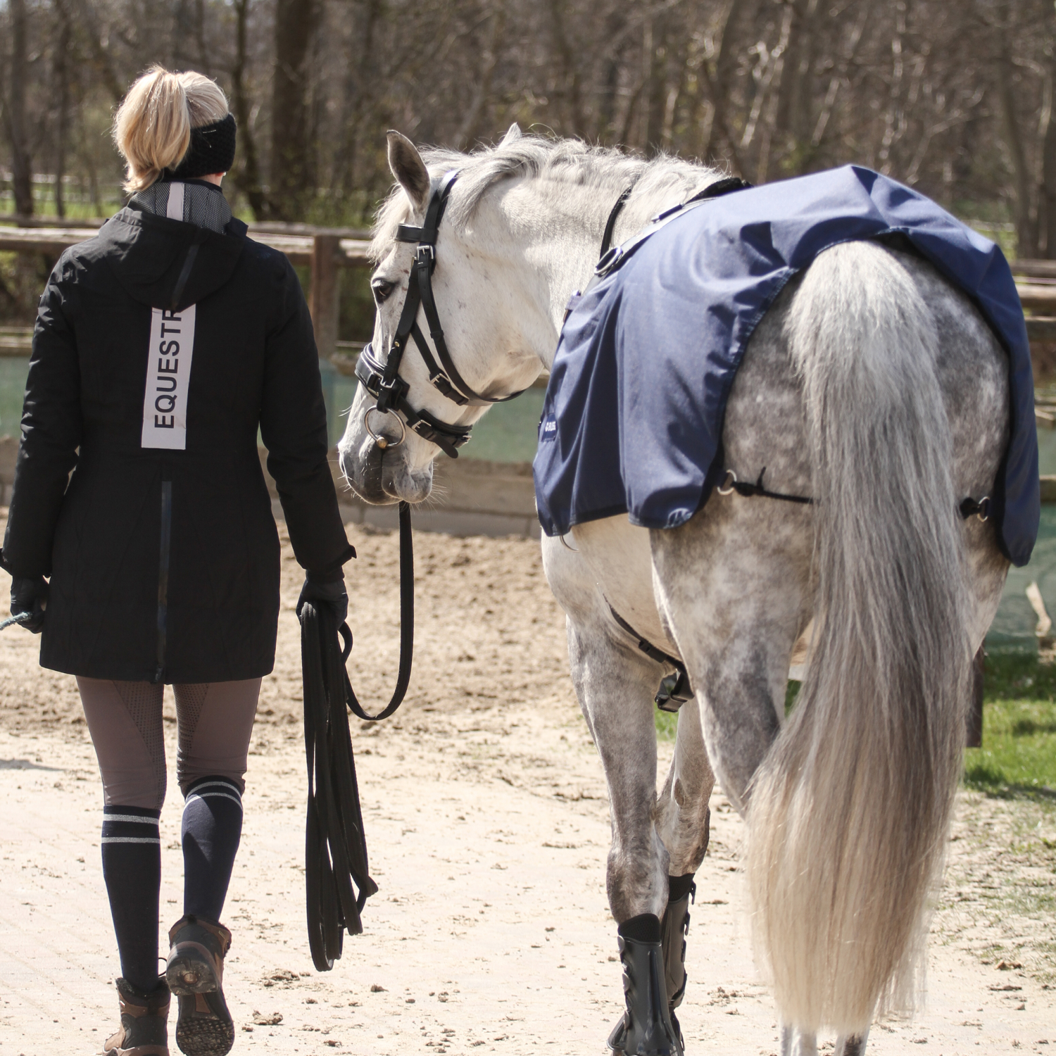 Longierdecke Rain 50