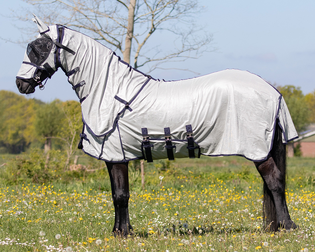 Fly rug with neck and bonnet Big neck Fly rug with neck and bonnet Big neck